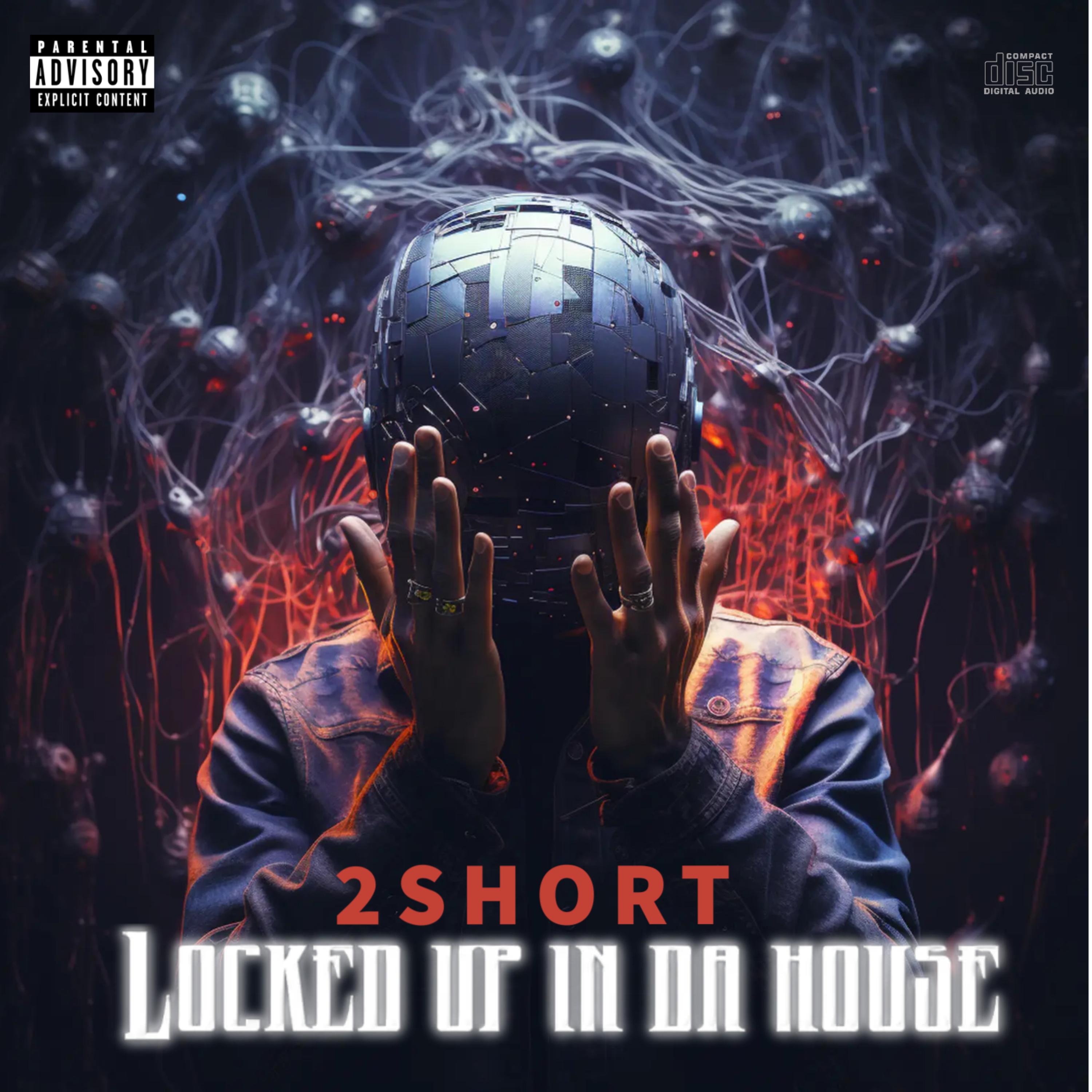 LOCKED UP IN DA HOUSE artwork