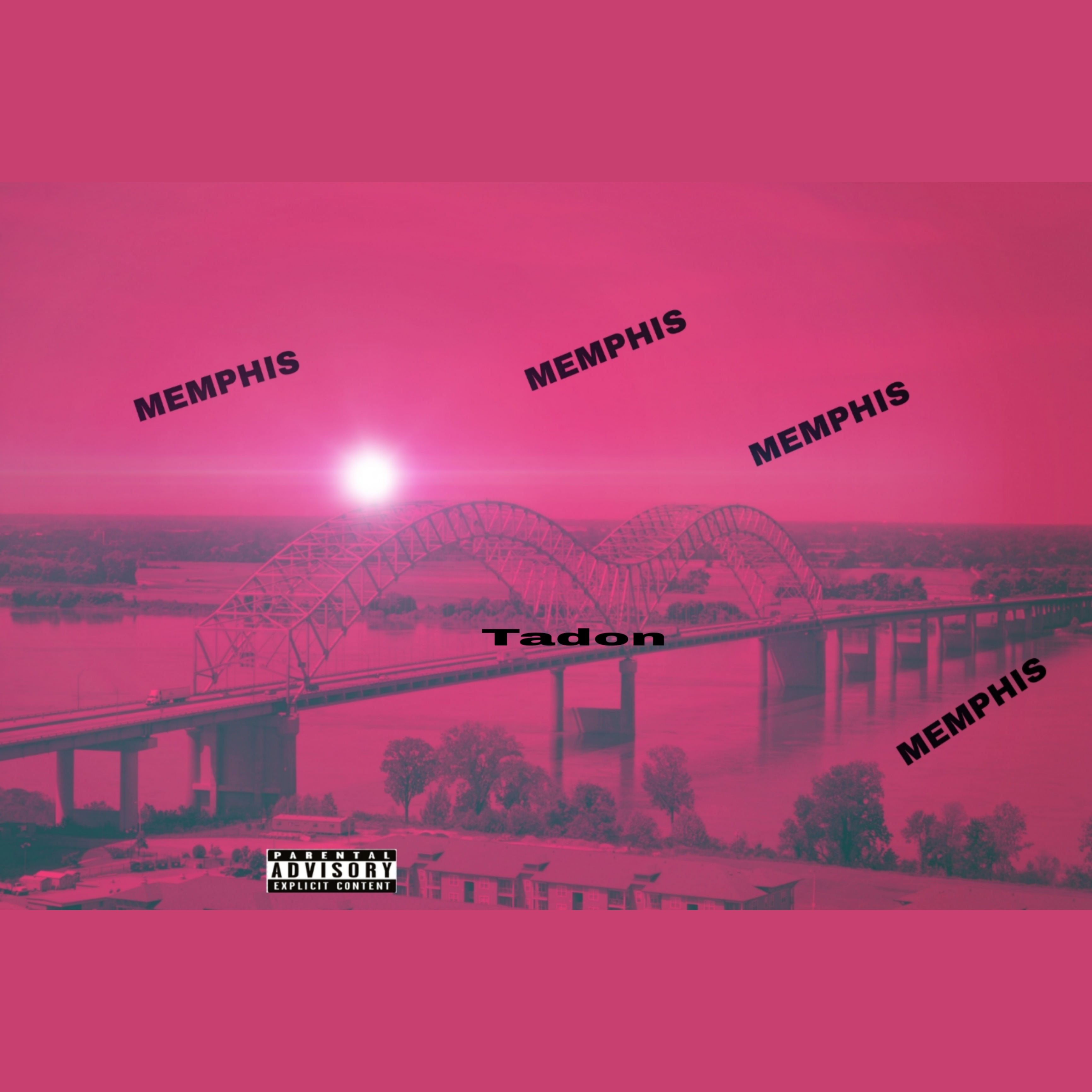 M.E.M.P.H.I.S artwork