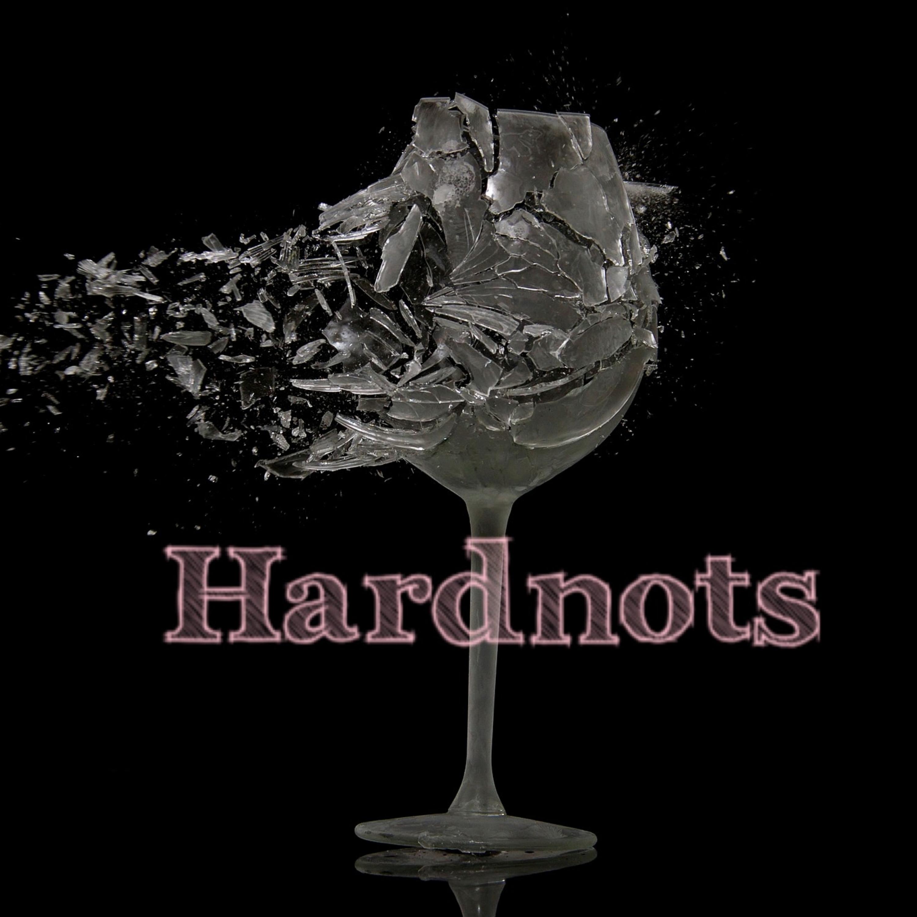 HARDNOTS artwork