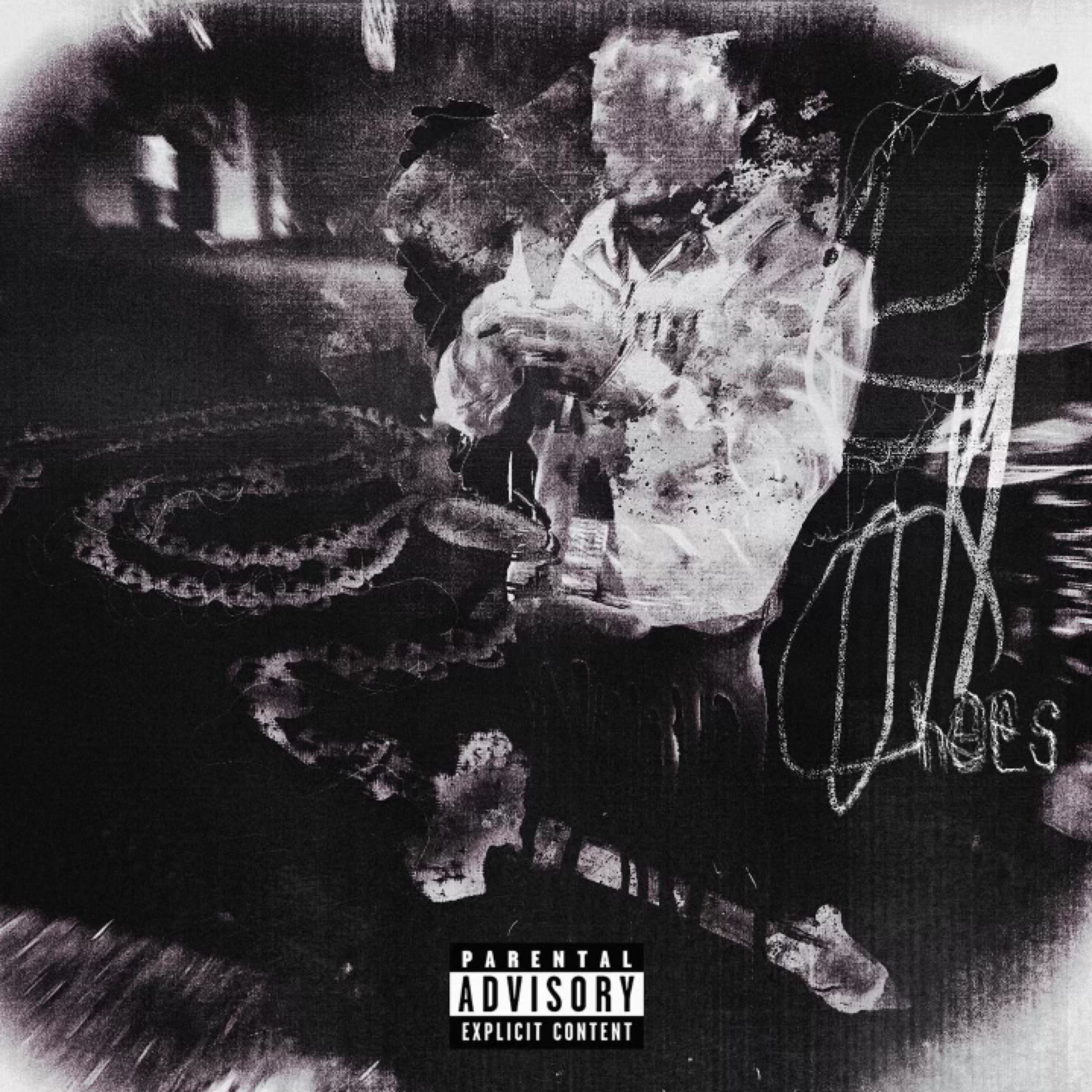 Old Hoes artwork
