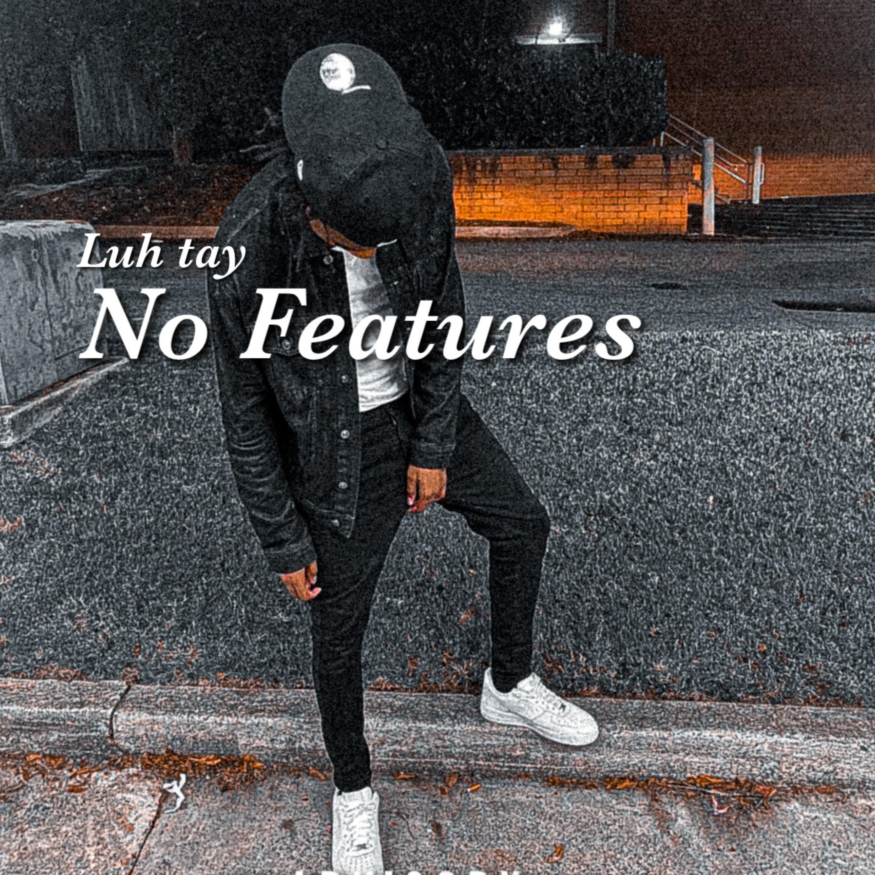 No Features / Free Meat artwork