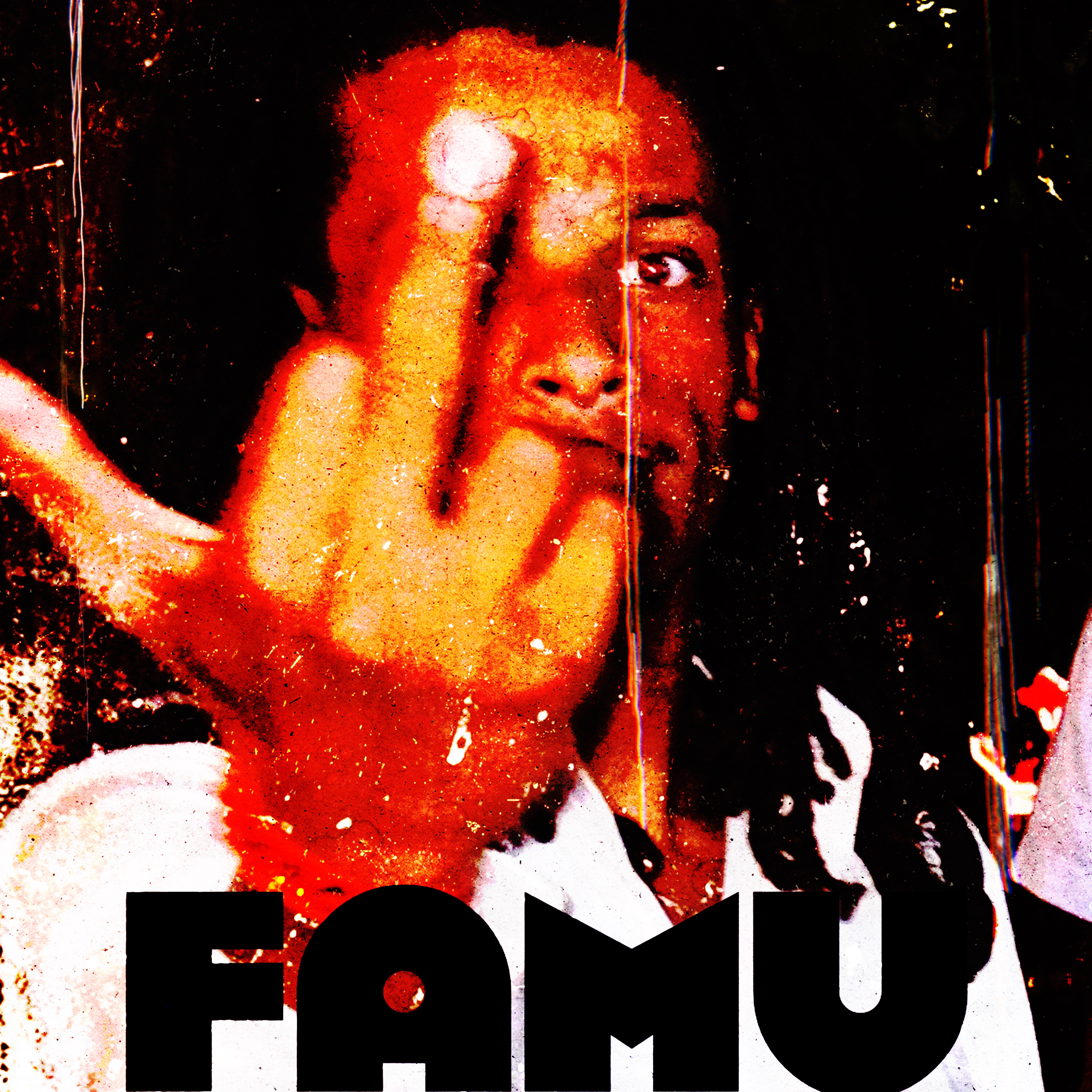 FAMU artwork