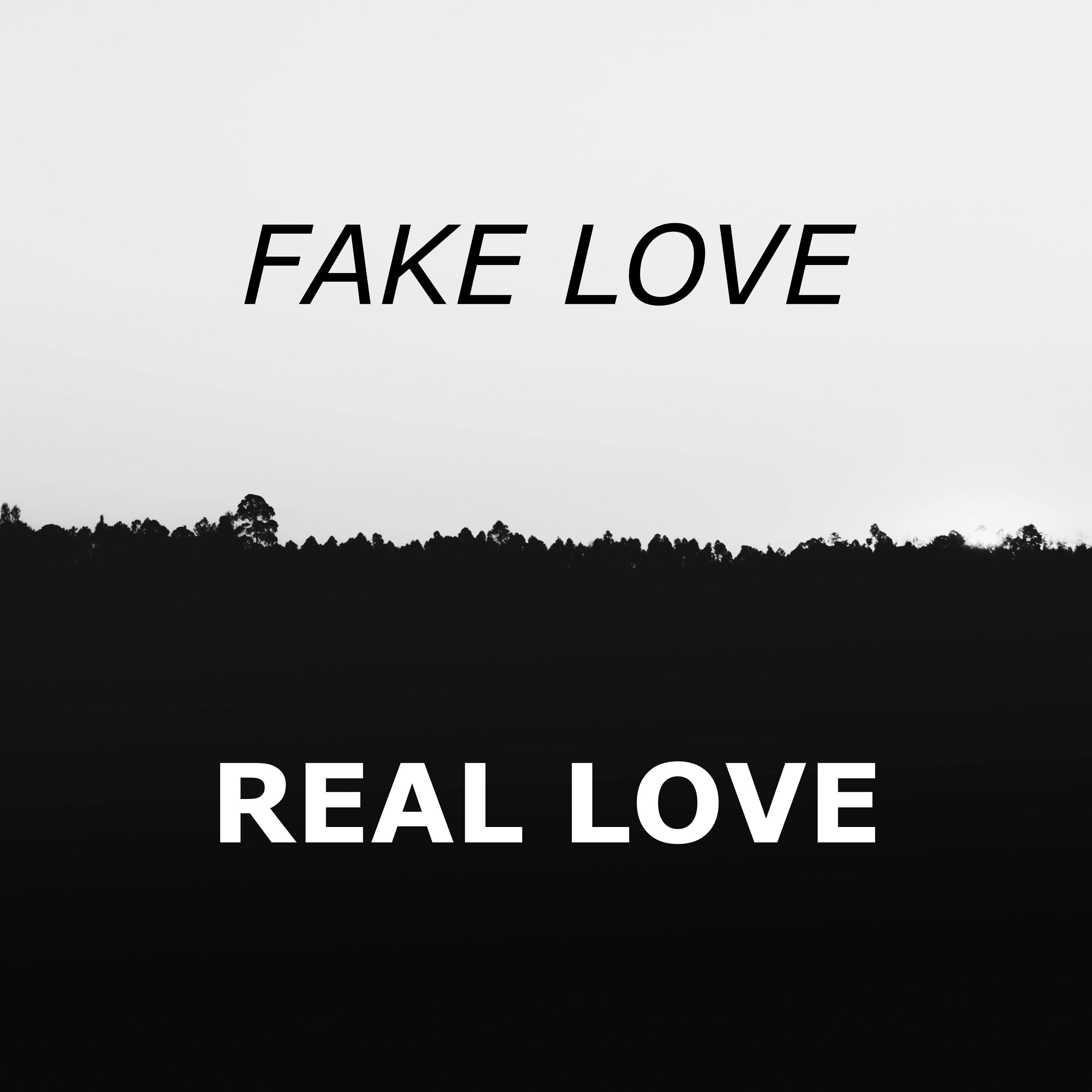 Fake Love vs Real Love artwork