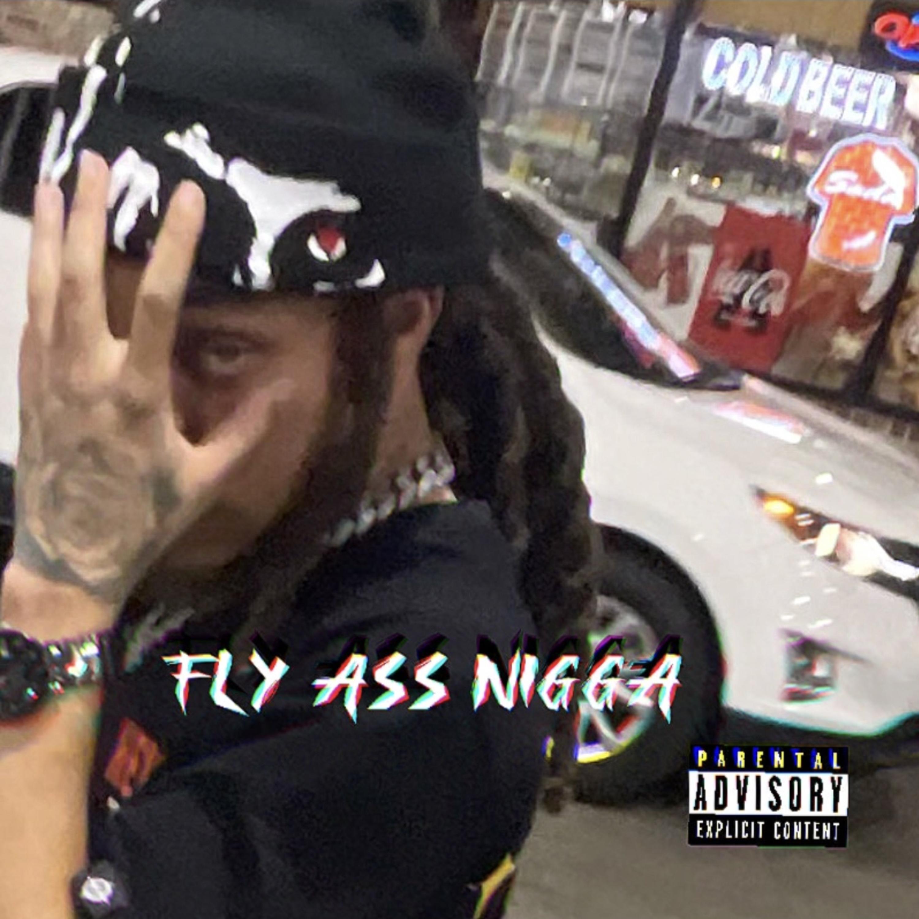 Fly Ass Nigga artwork