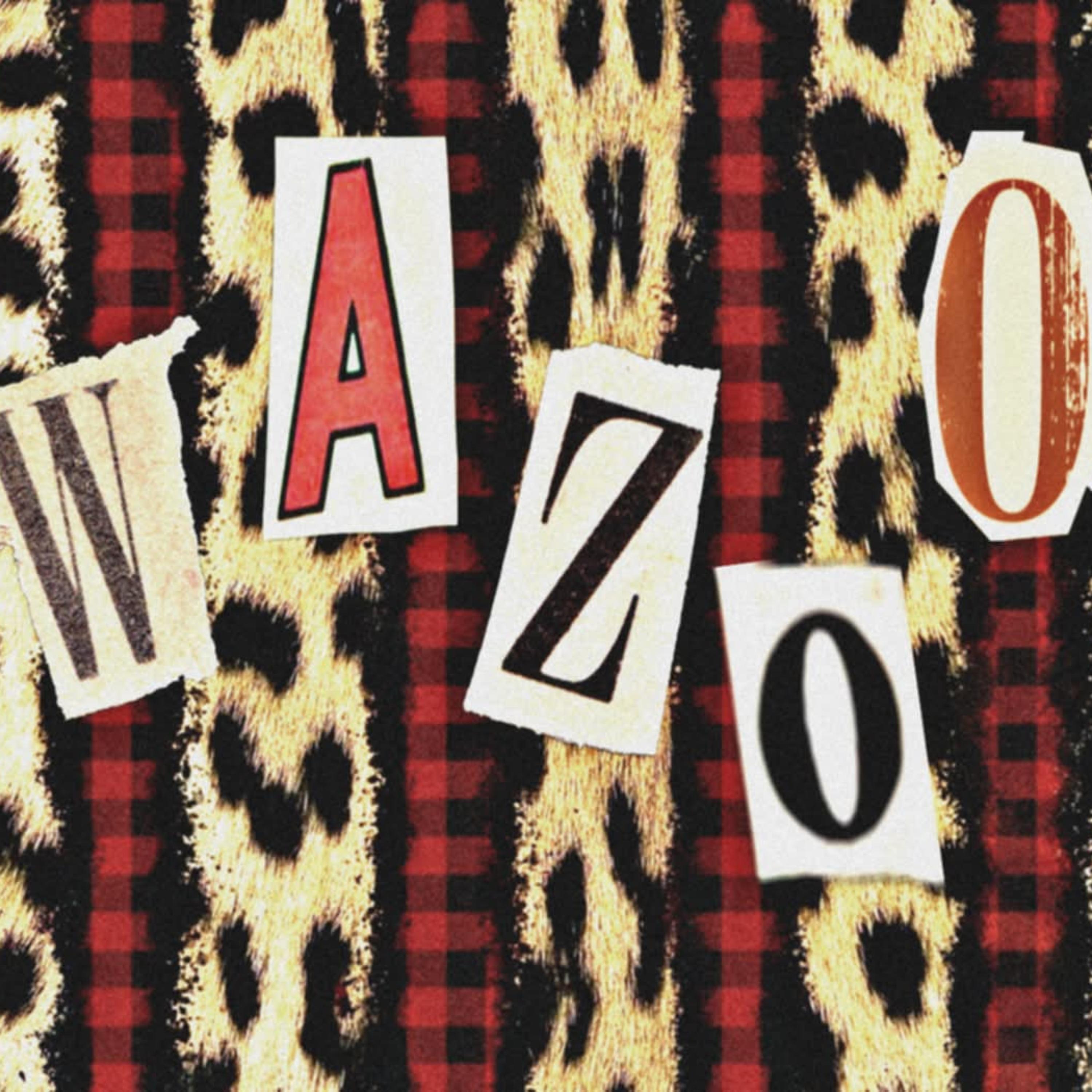 Wazoo by Coldestfi cover art