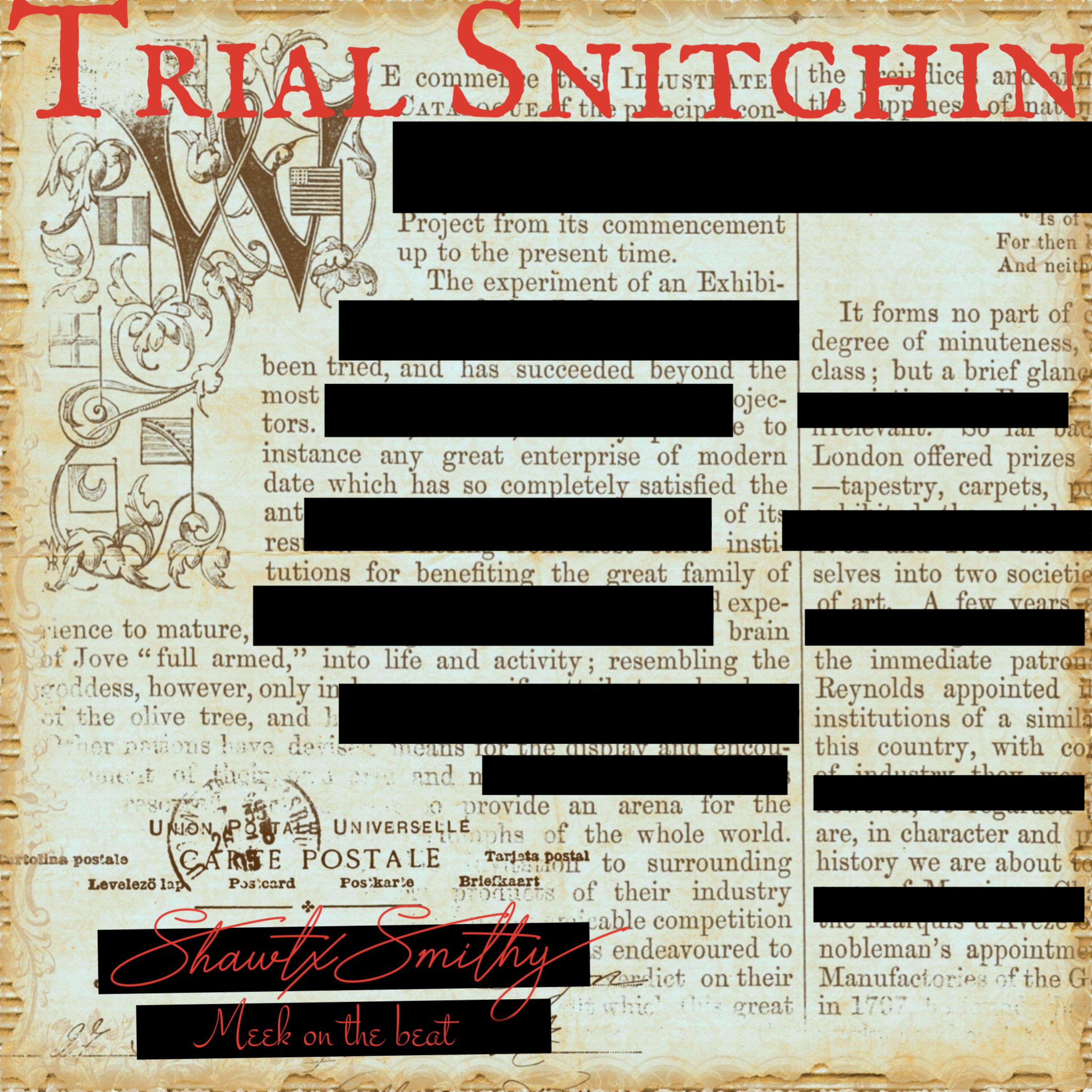 Trial Snitchin artwork
