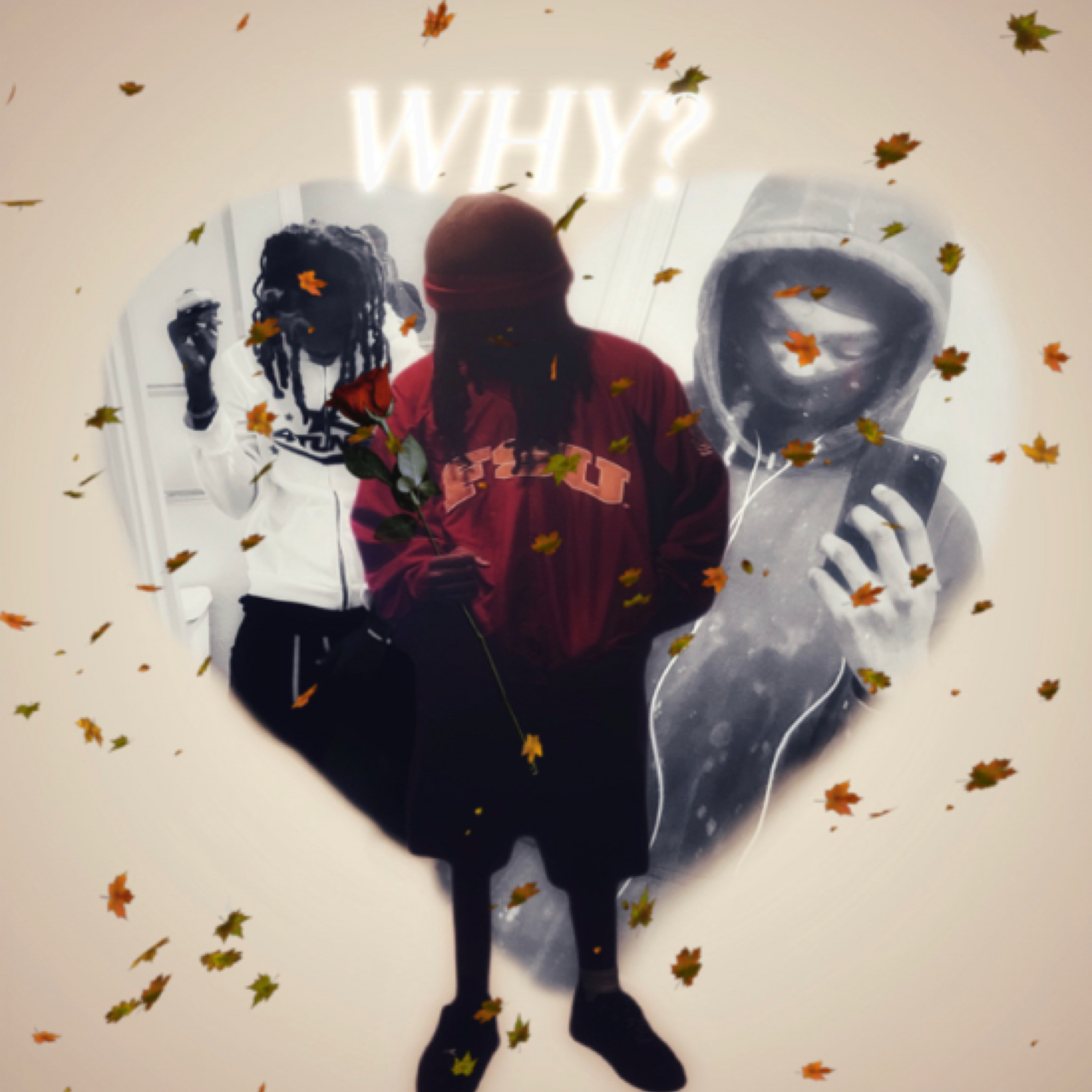 Why? artwork