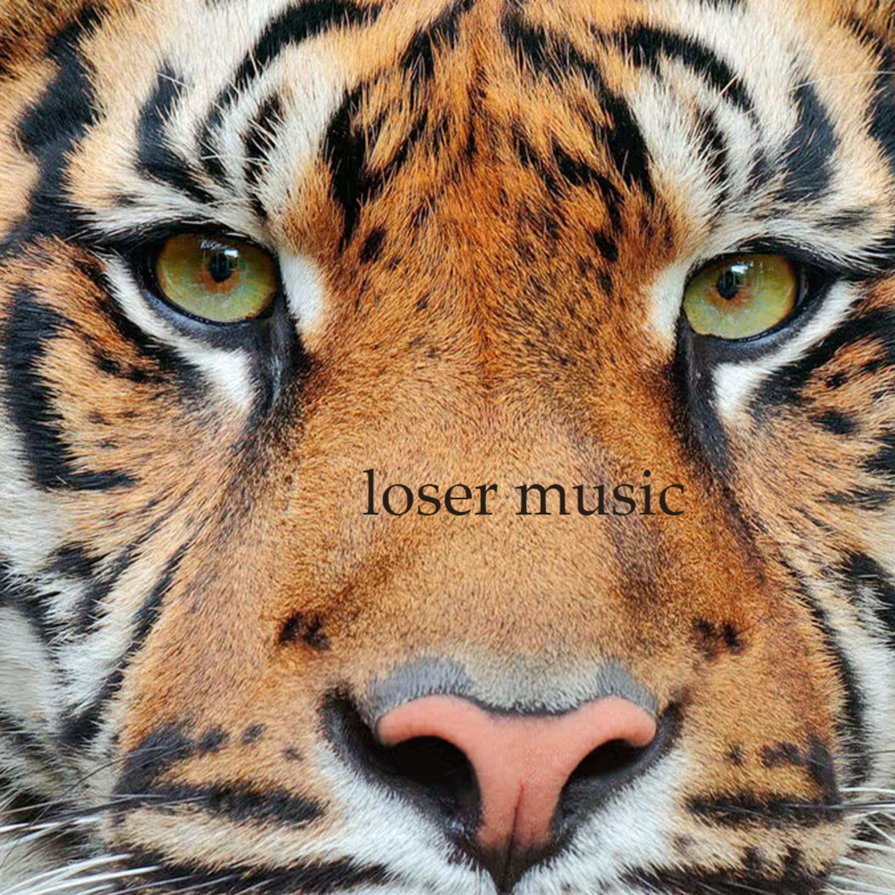 LOSERMUSIC artwork