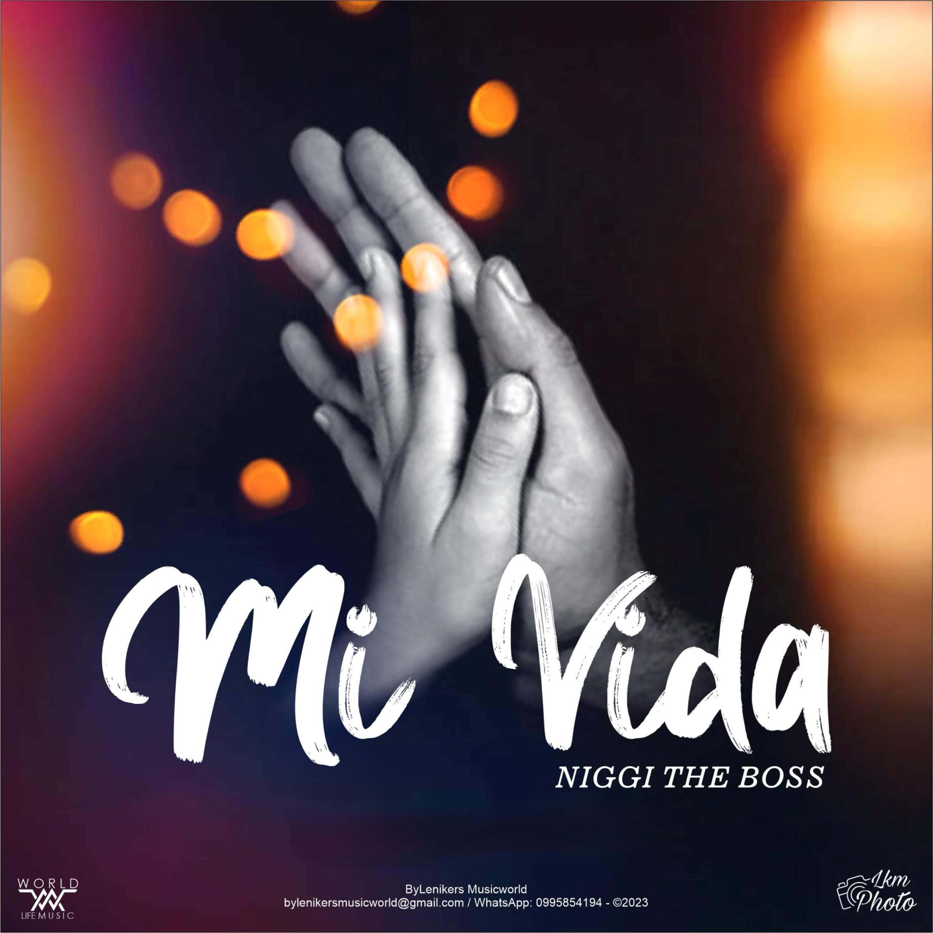 Mi Vida artwork