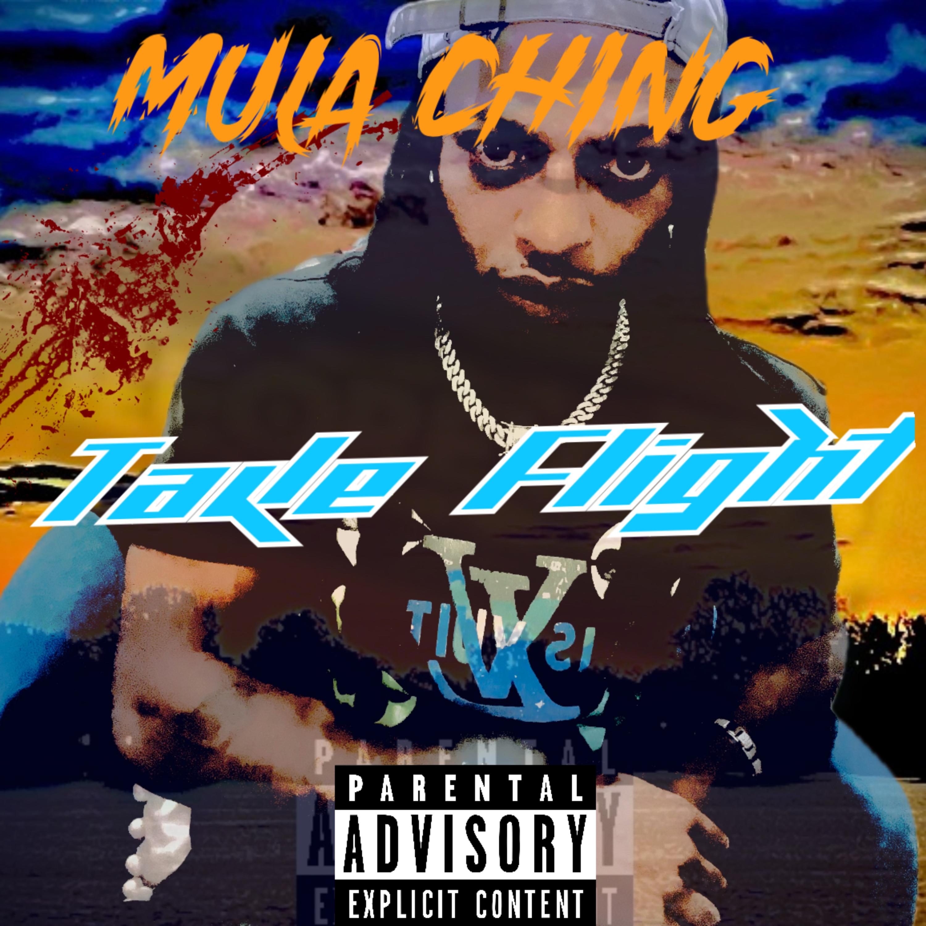 Take Flight artwork