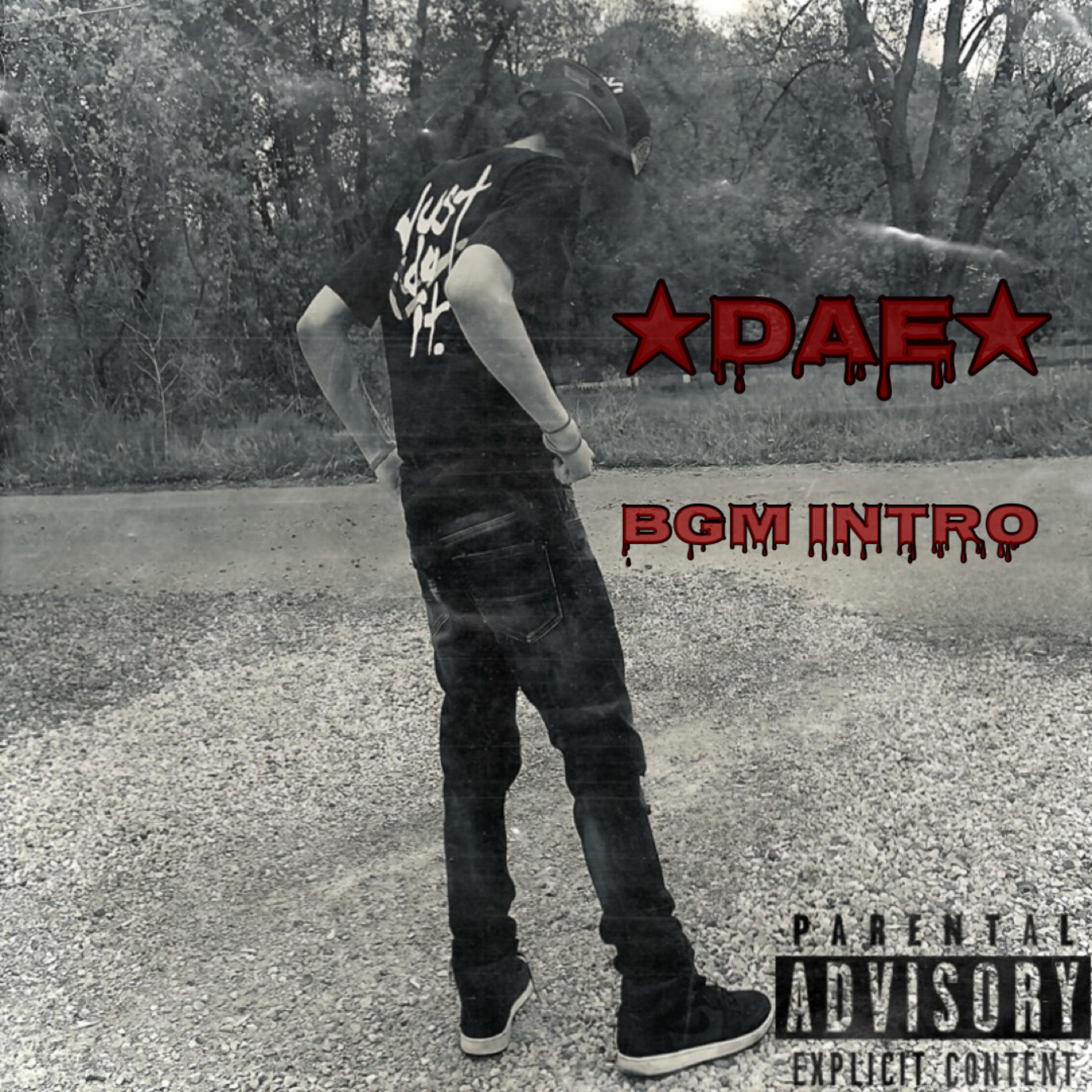 BGM Intro by SadBoyDae cover art