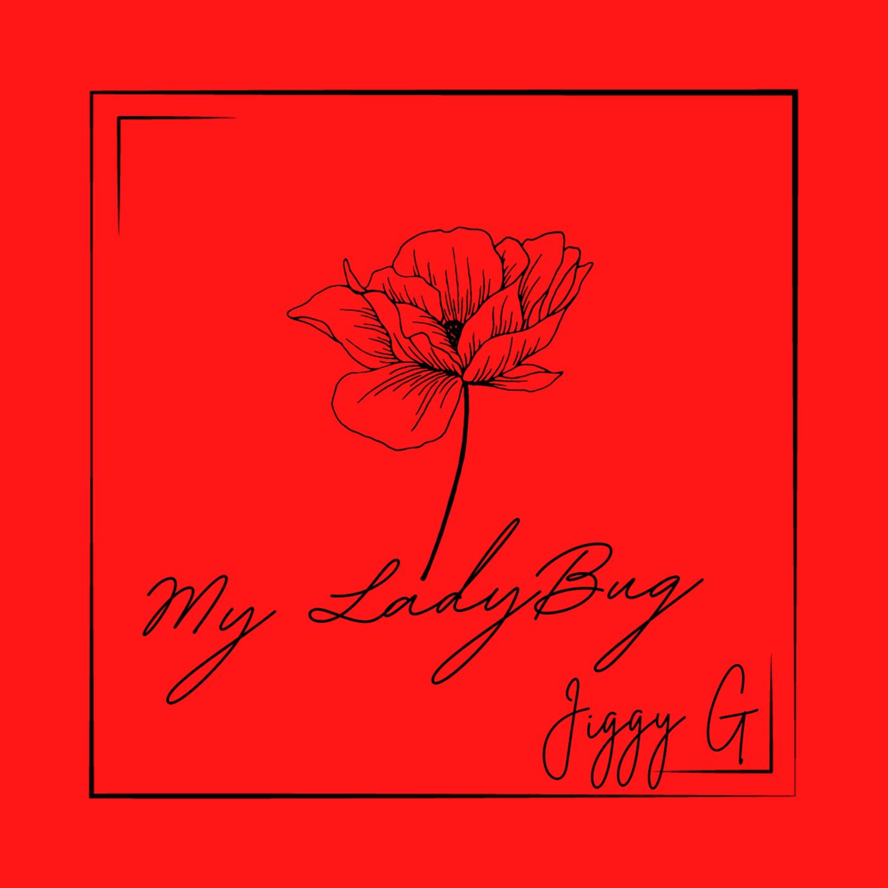 My LadyBug artwork
