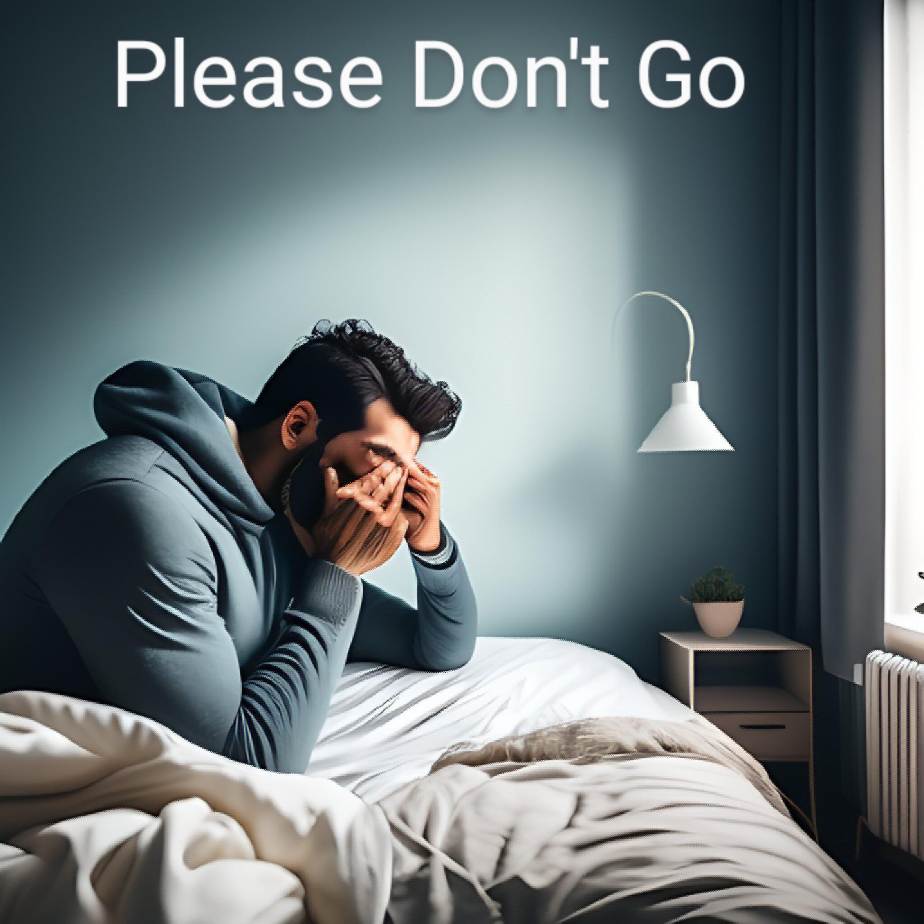 Please Don't Go artwork