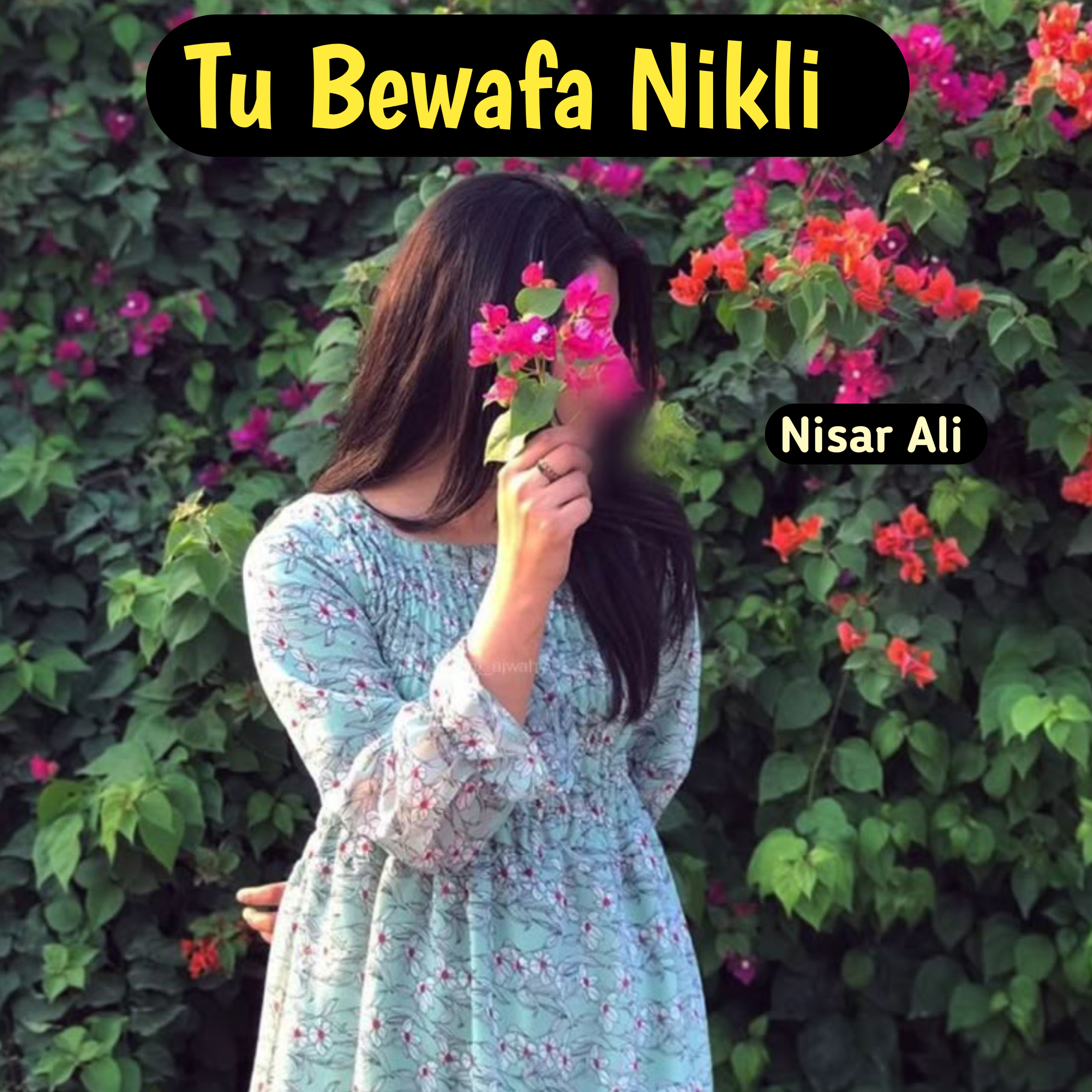 Tu Bewafa Nikli artwork