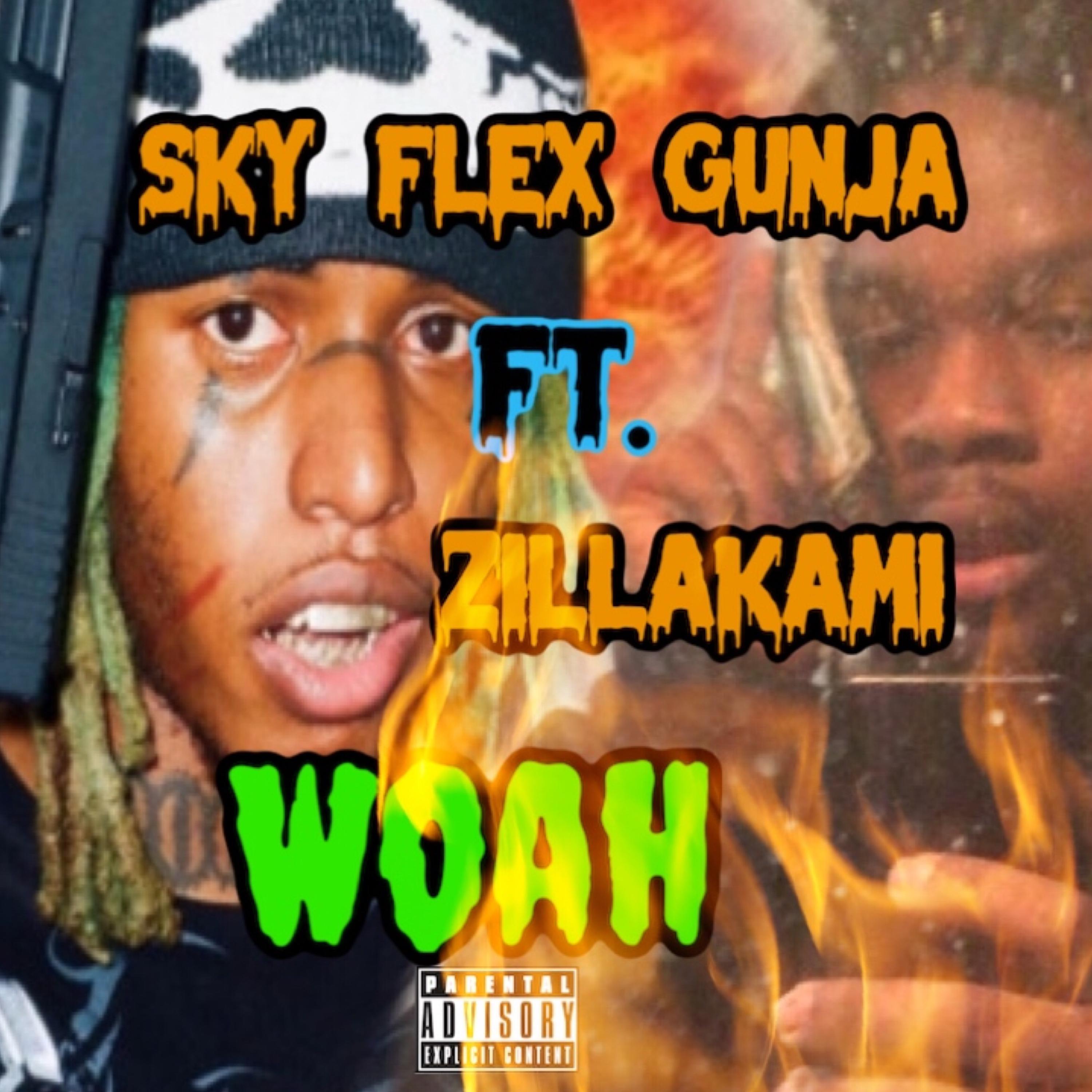 Woah artwork