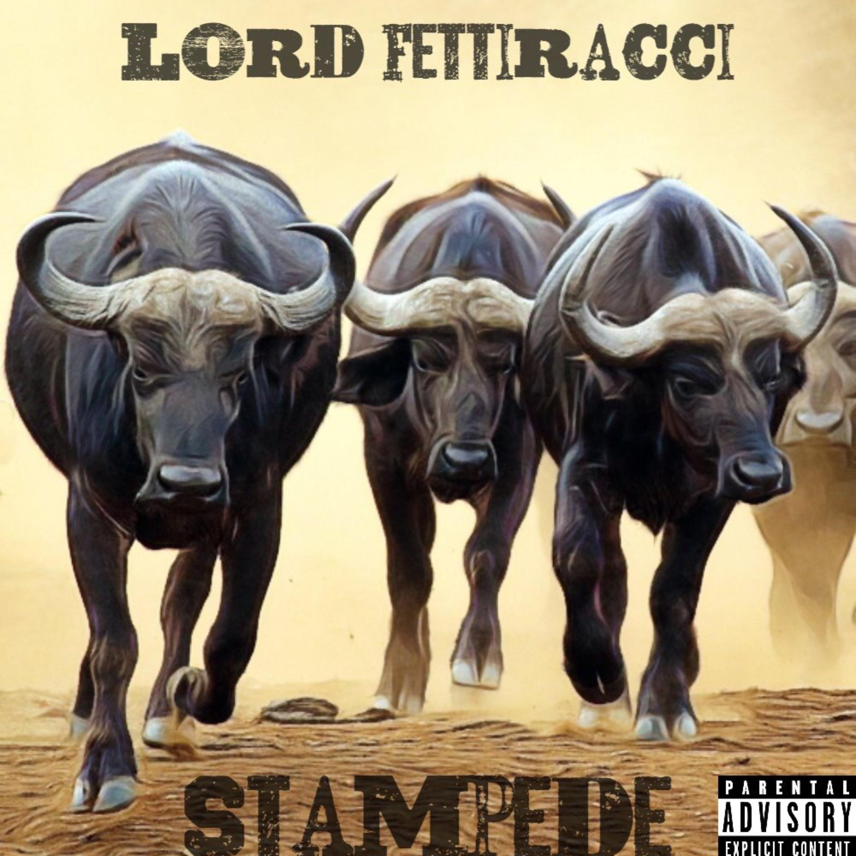 Stampede artwork