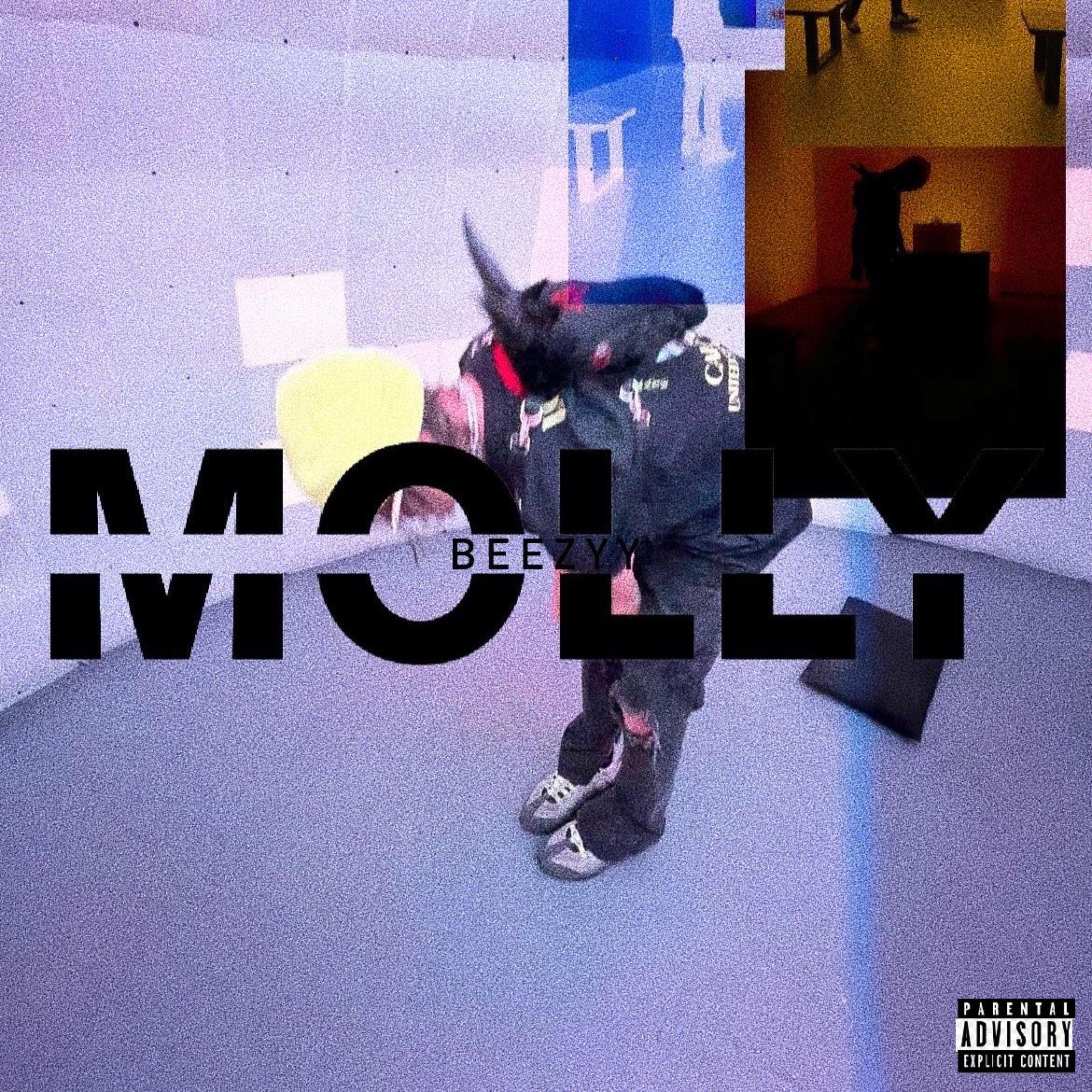 molly! artwork