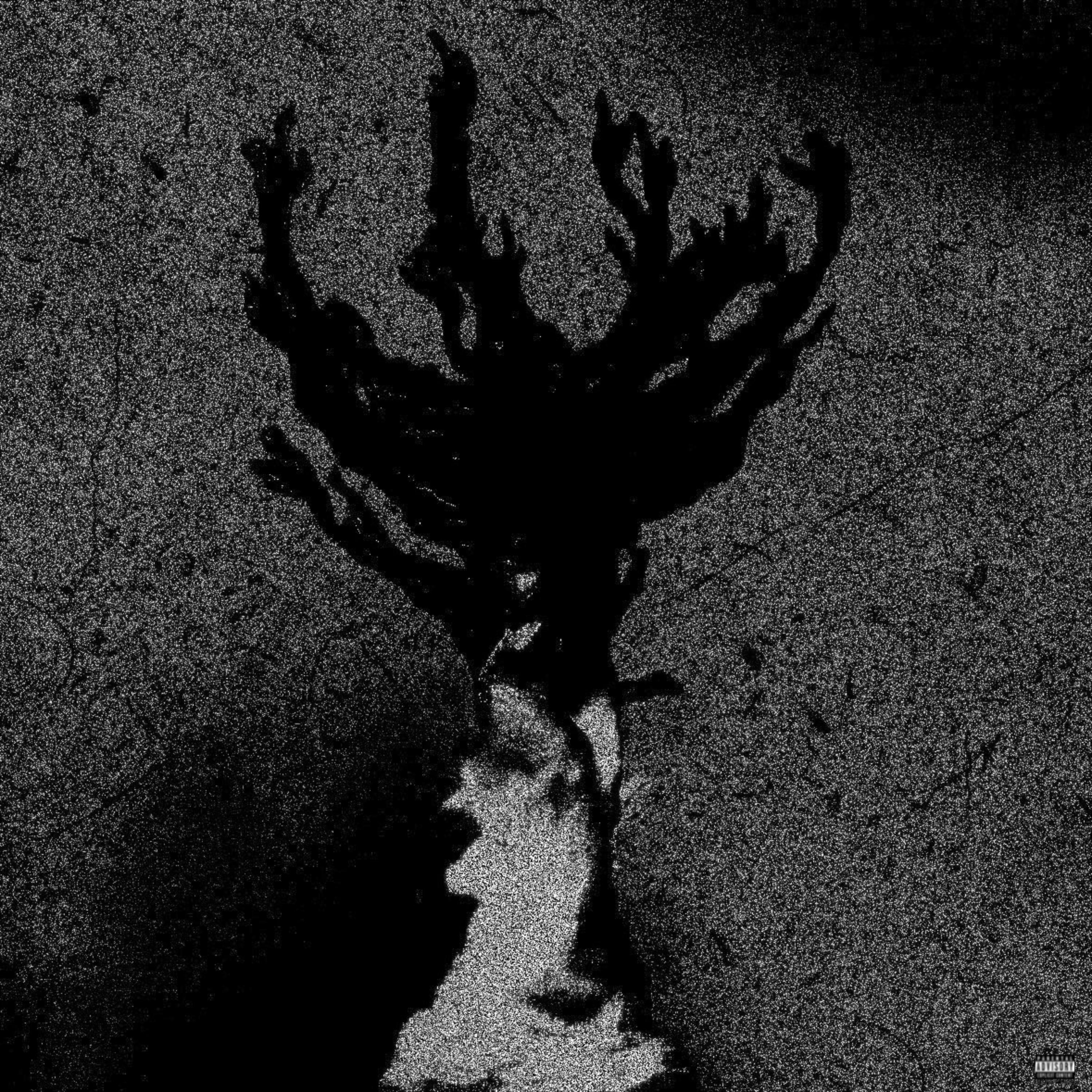 Obscura artwork