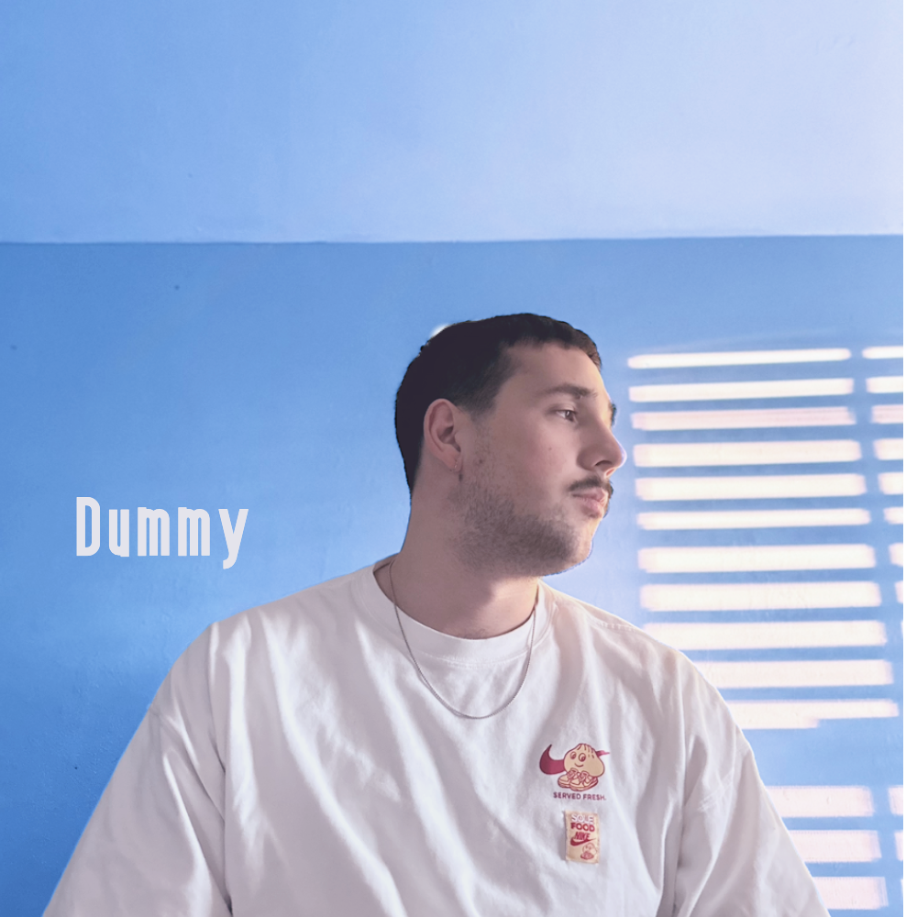 Dummy artwork