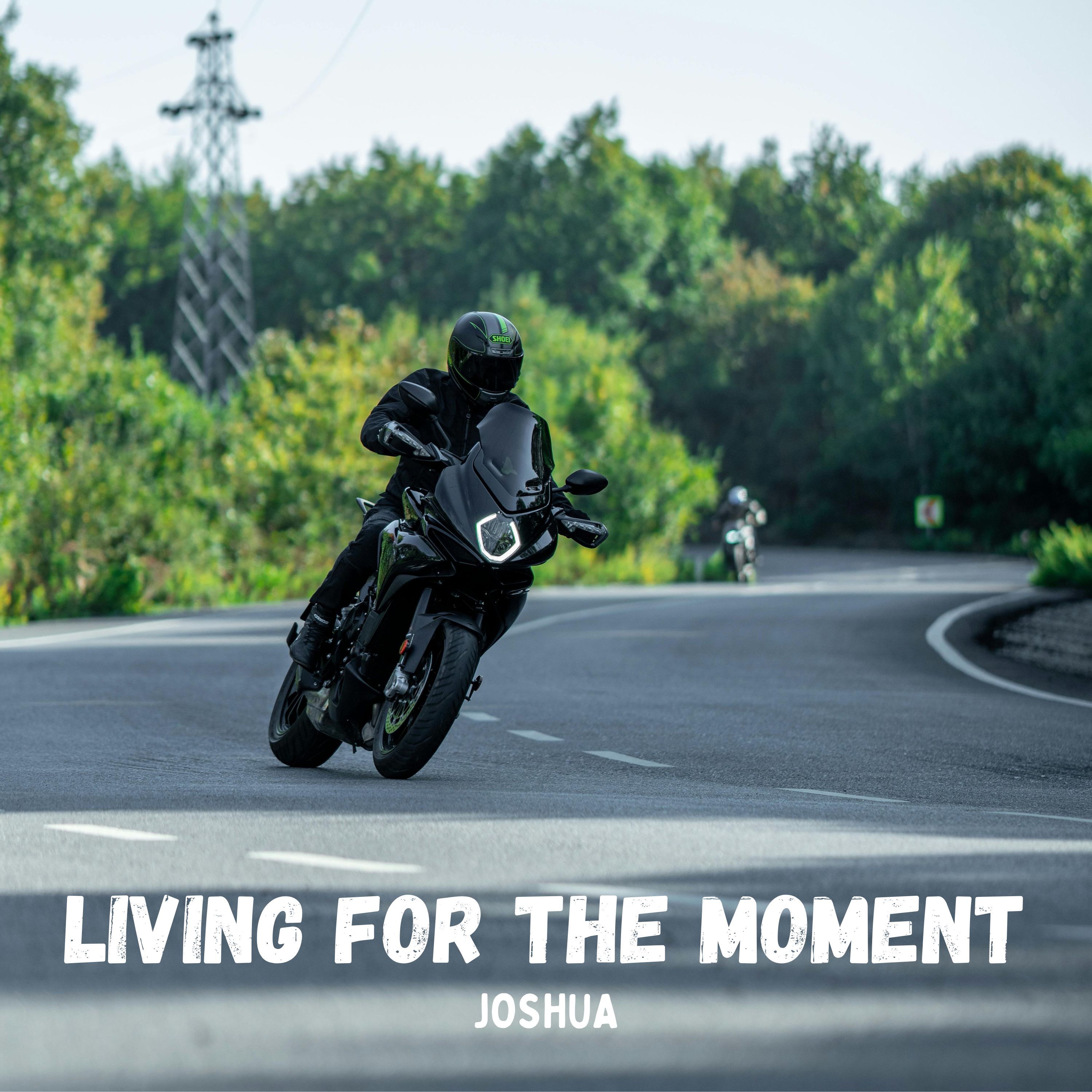 Living for the Moment artwork