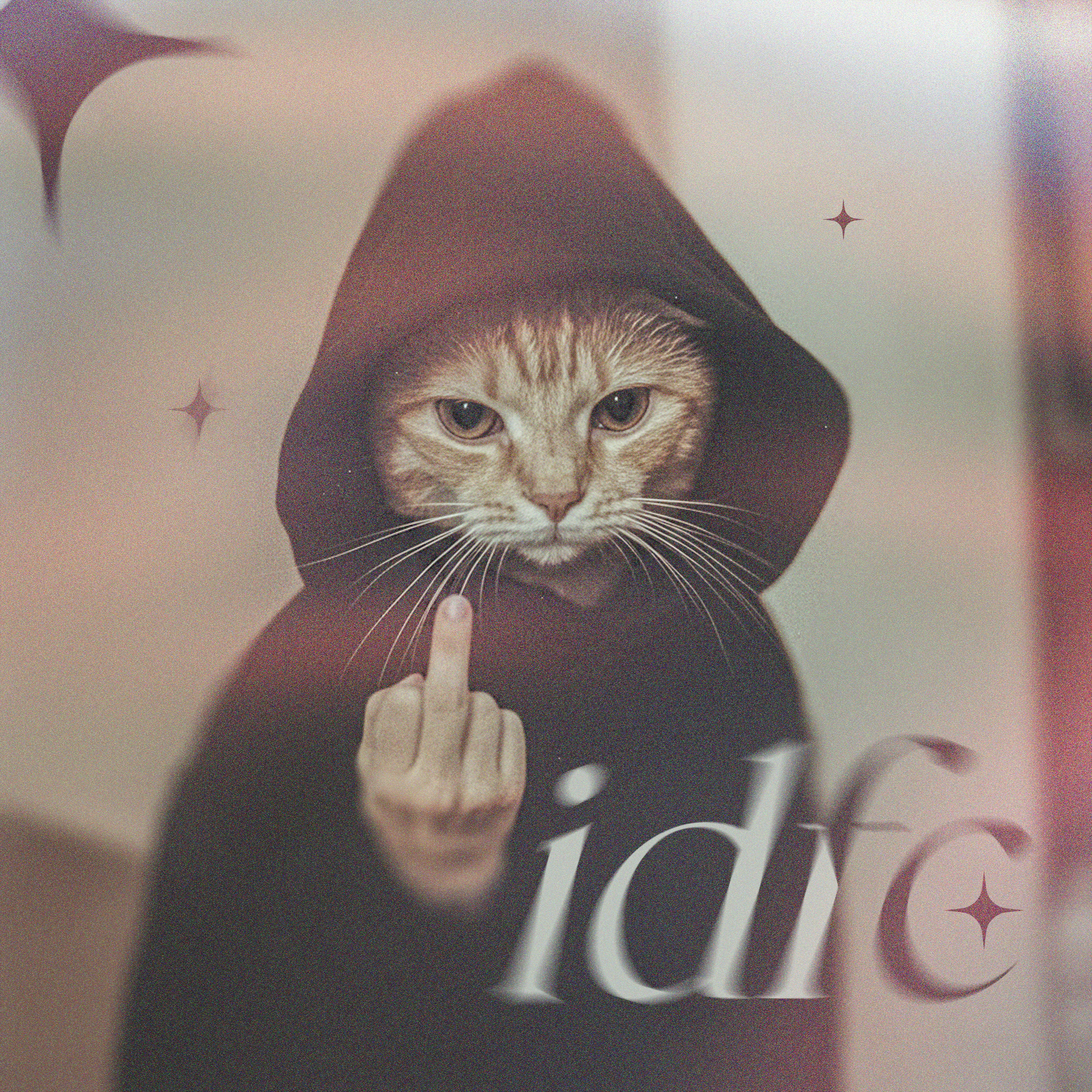 IDFC artwork