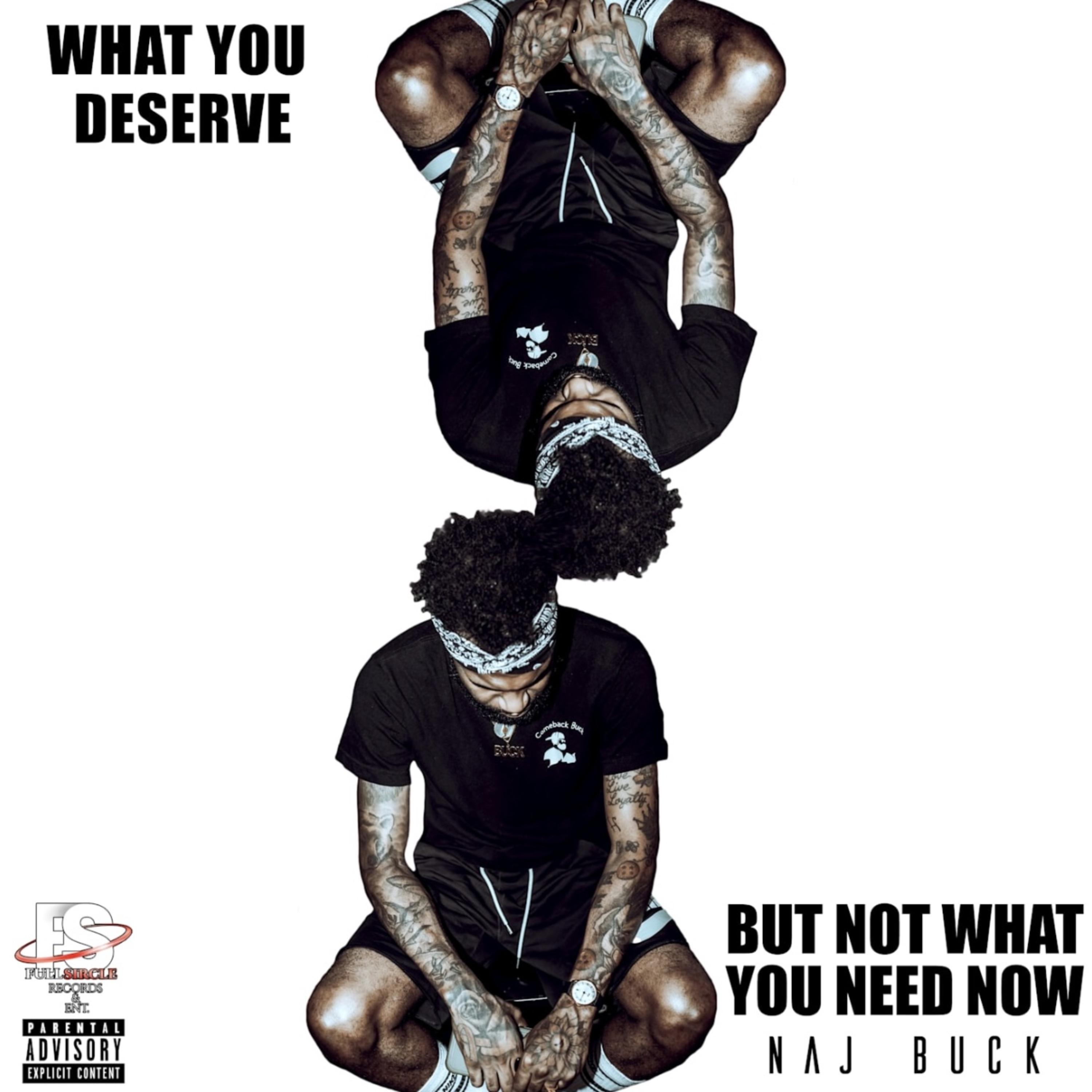 What You Deserve But Not What You Need Now artwork
