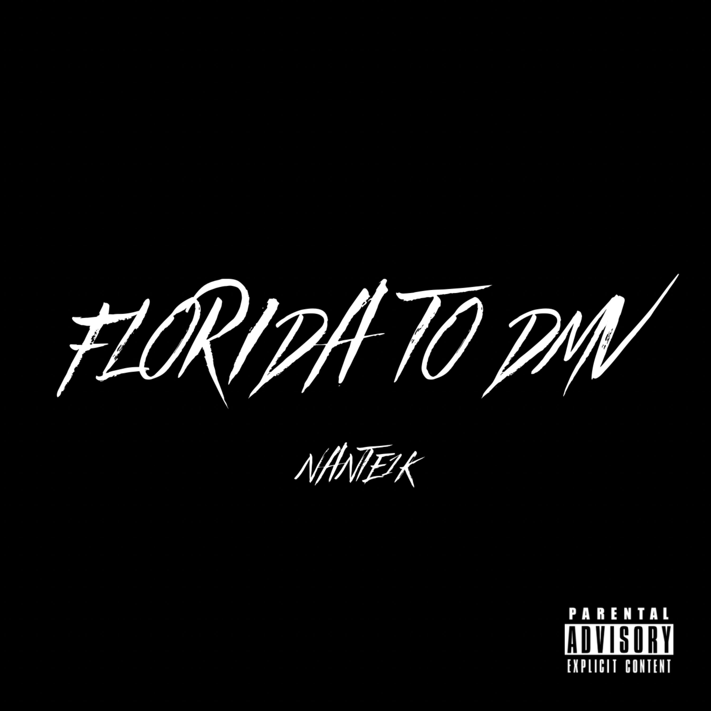 FLORIDA TO DMV artwork