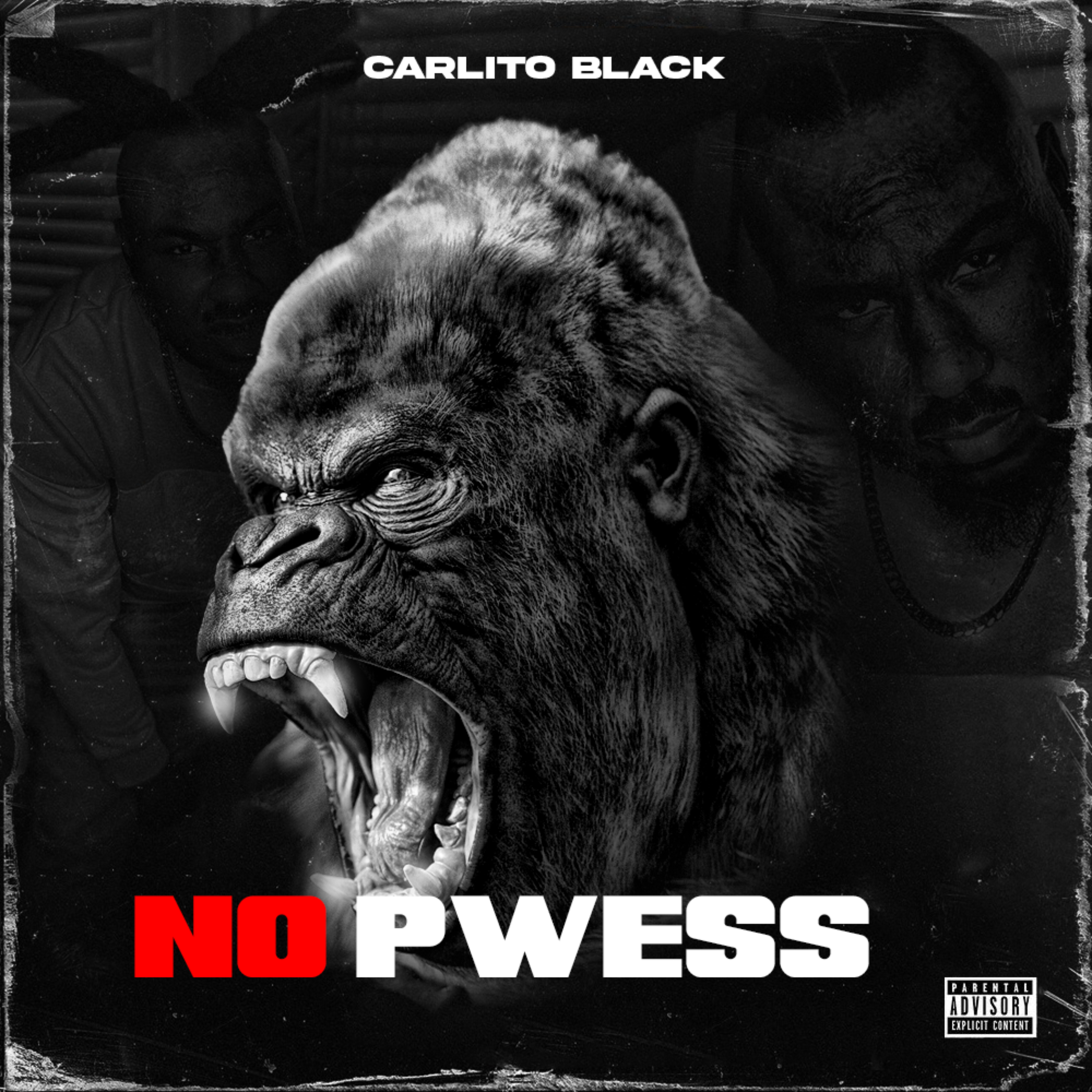 No Pwess artwork