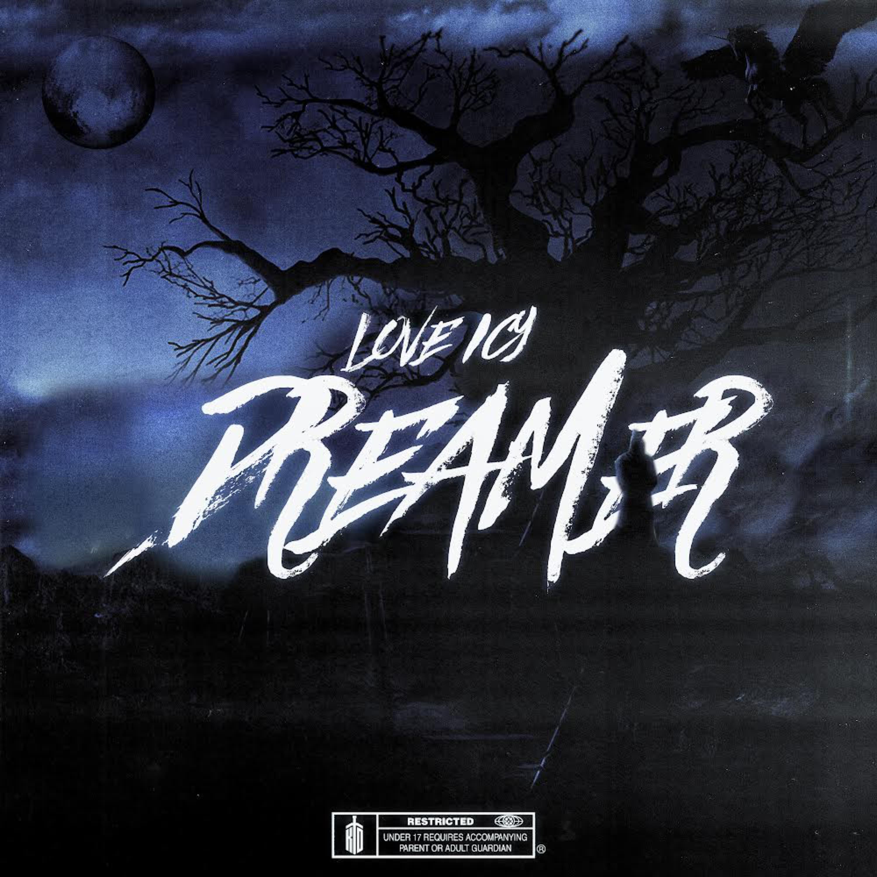 Dreamer artwork