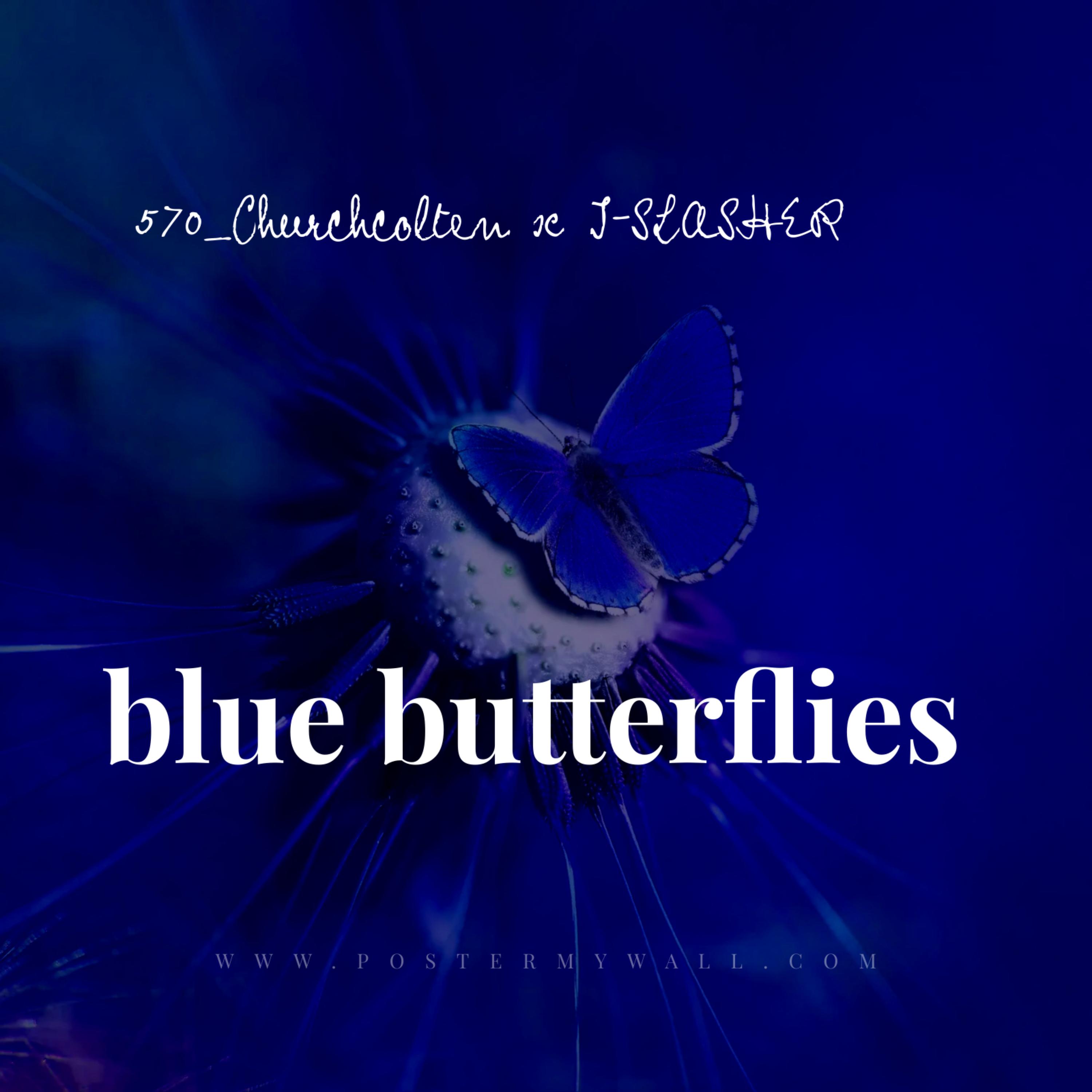 blue butterflies artwork