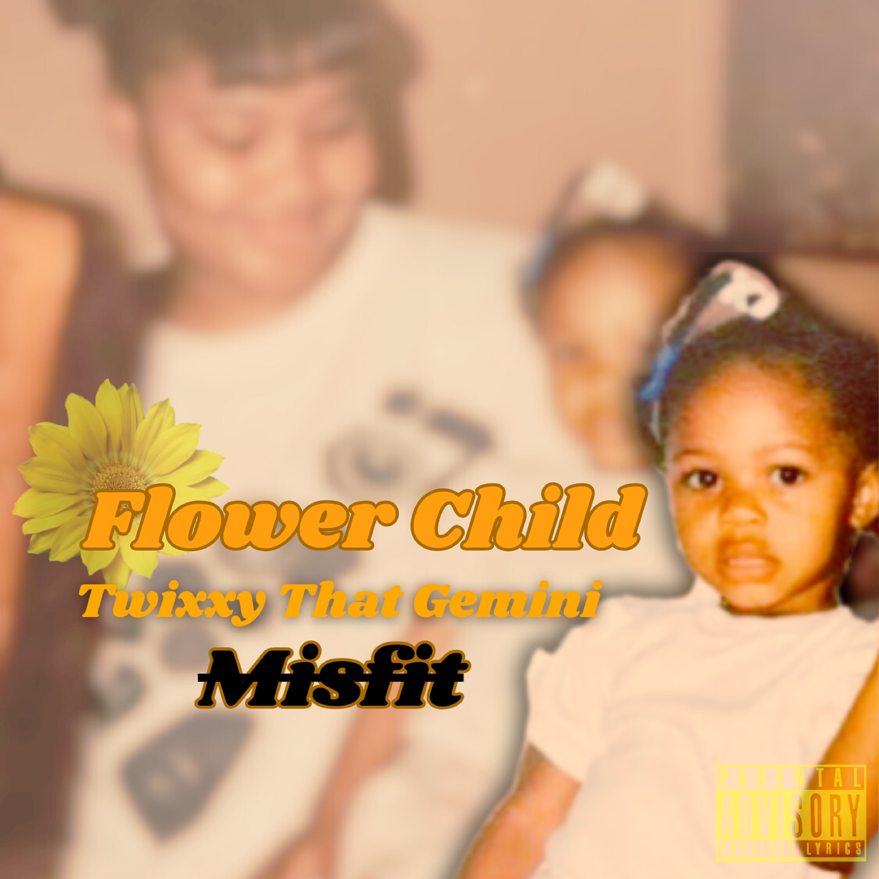 Misfit artwork