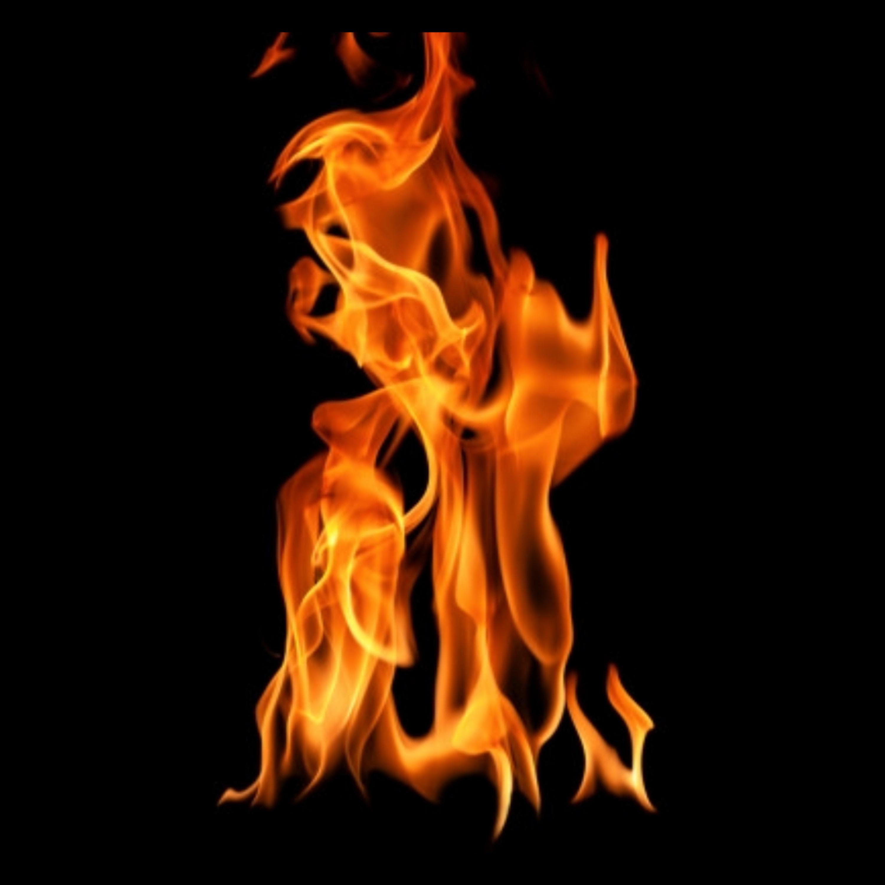 Fuse Lit artwork
