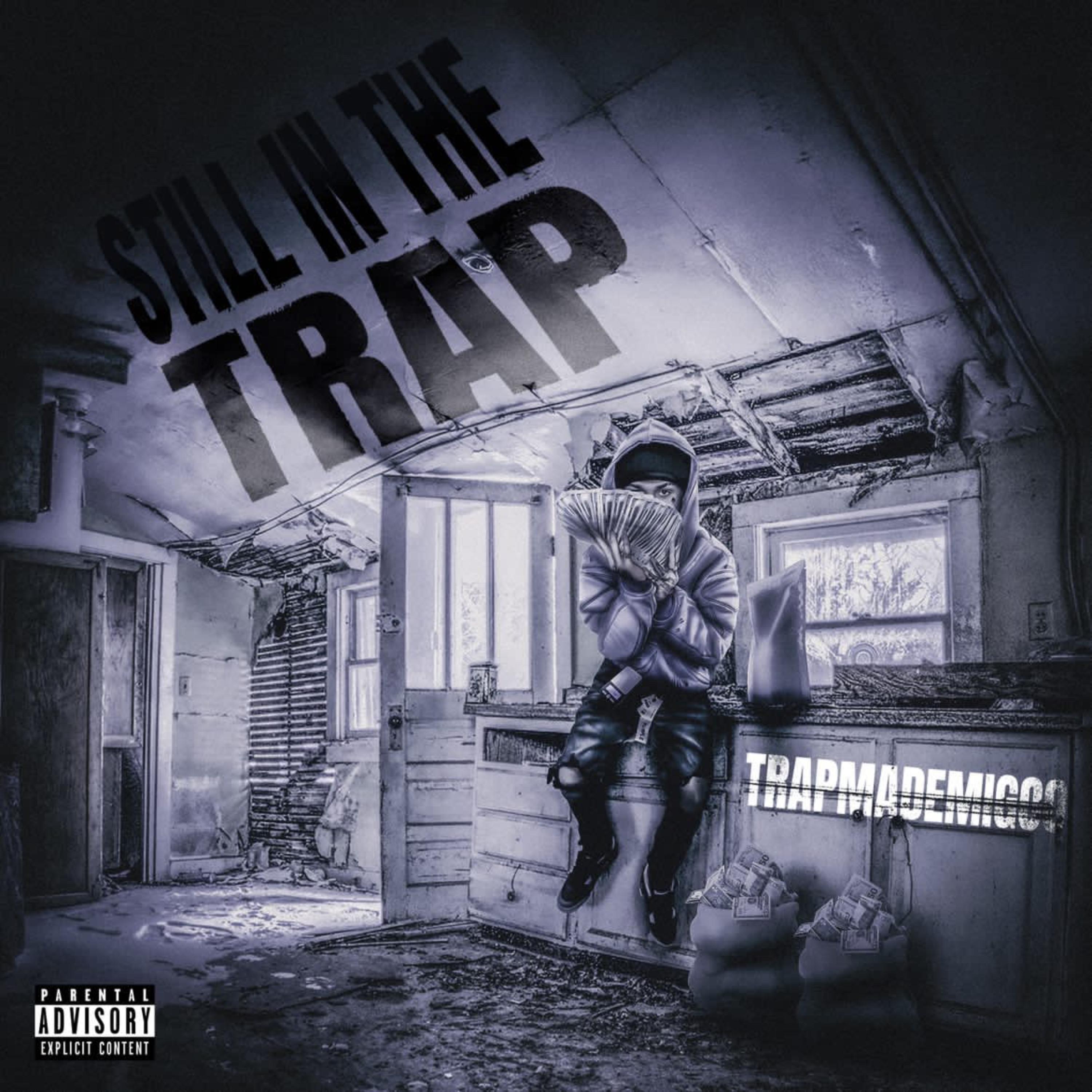 Still In The Trap artwork