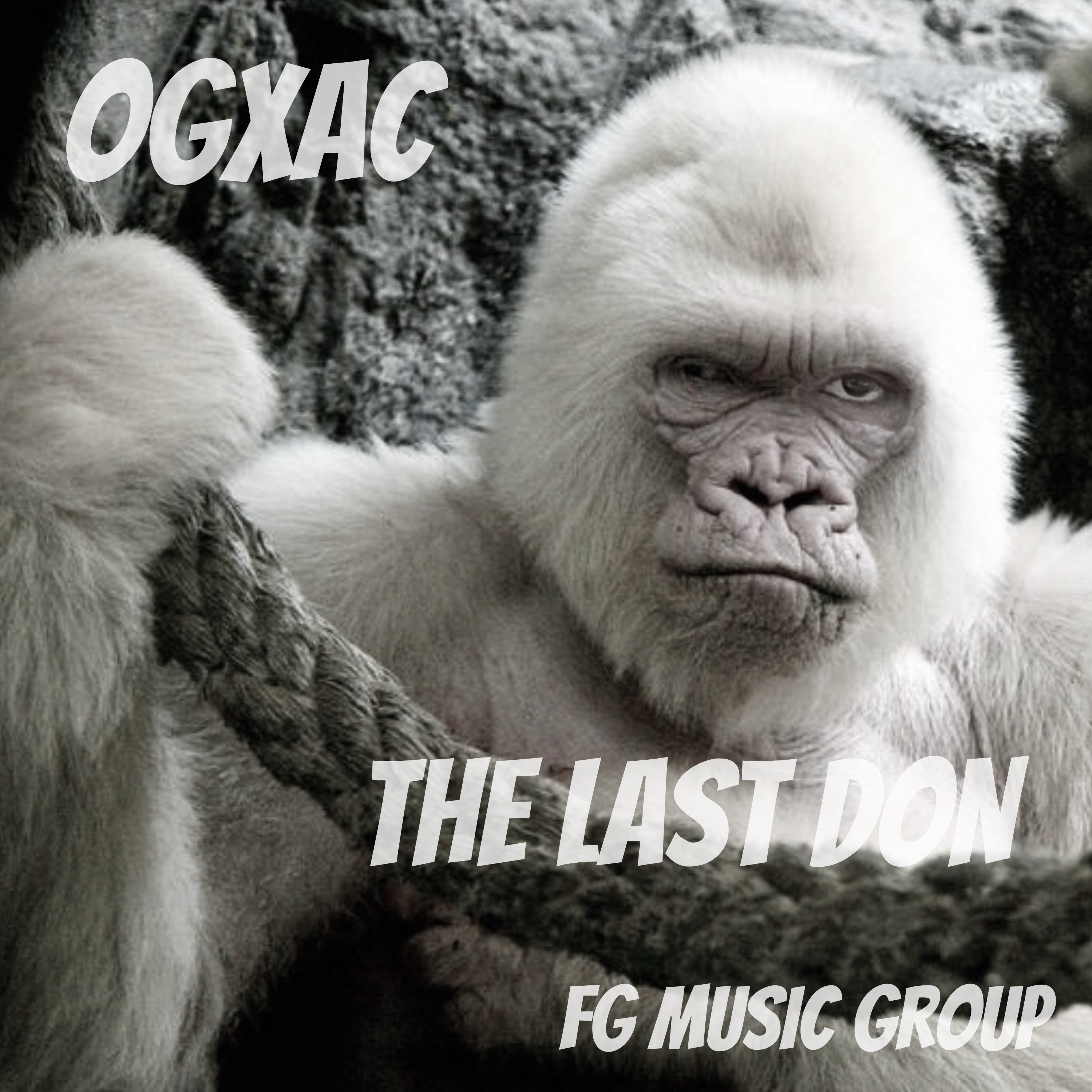 The Last Don artwork