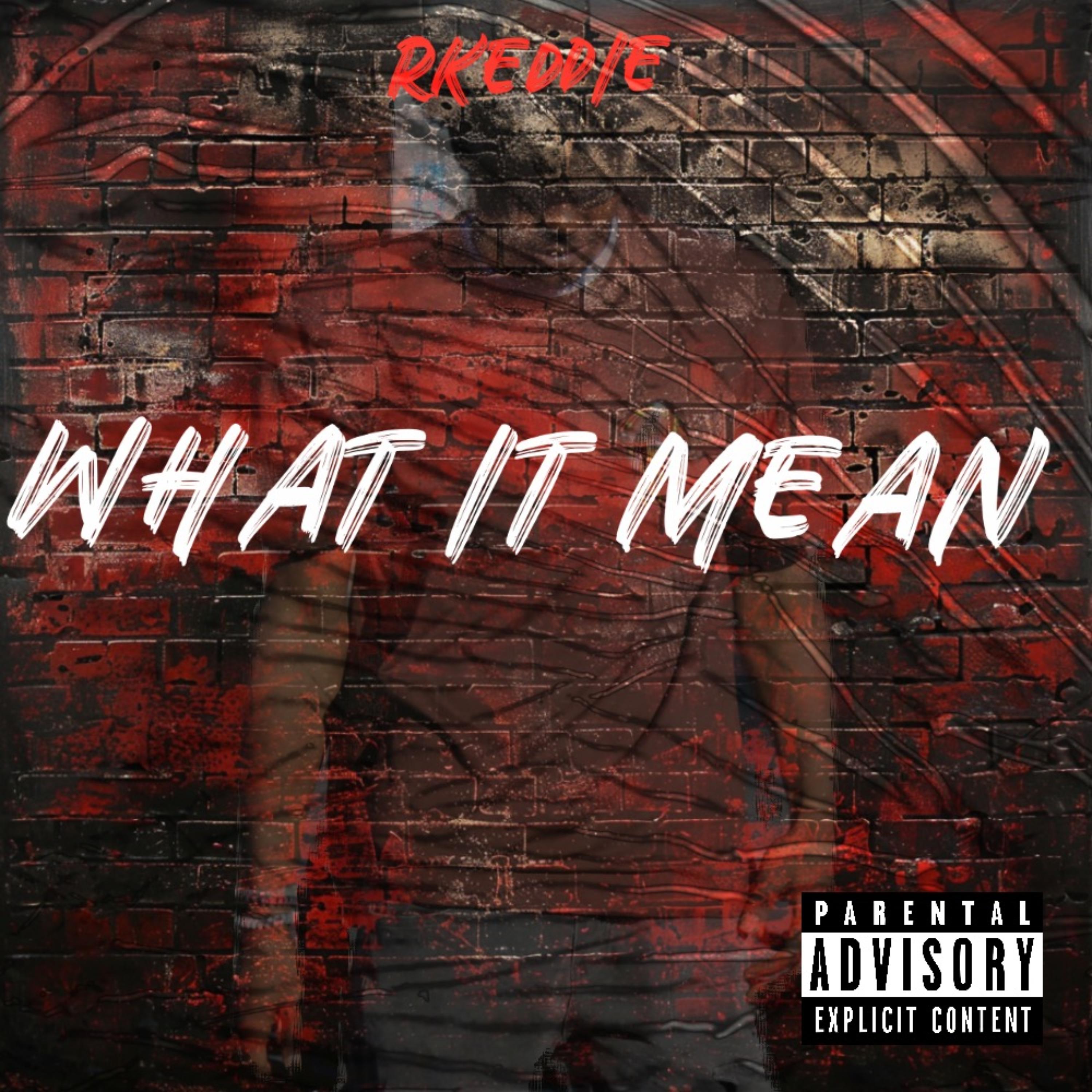 WHAT IT MEAN artwork