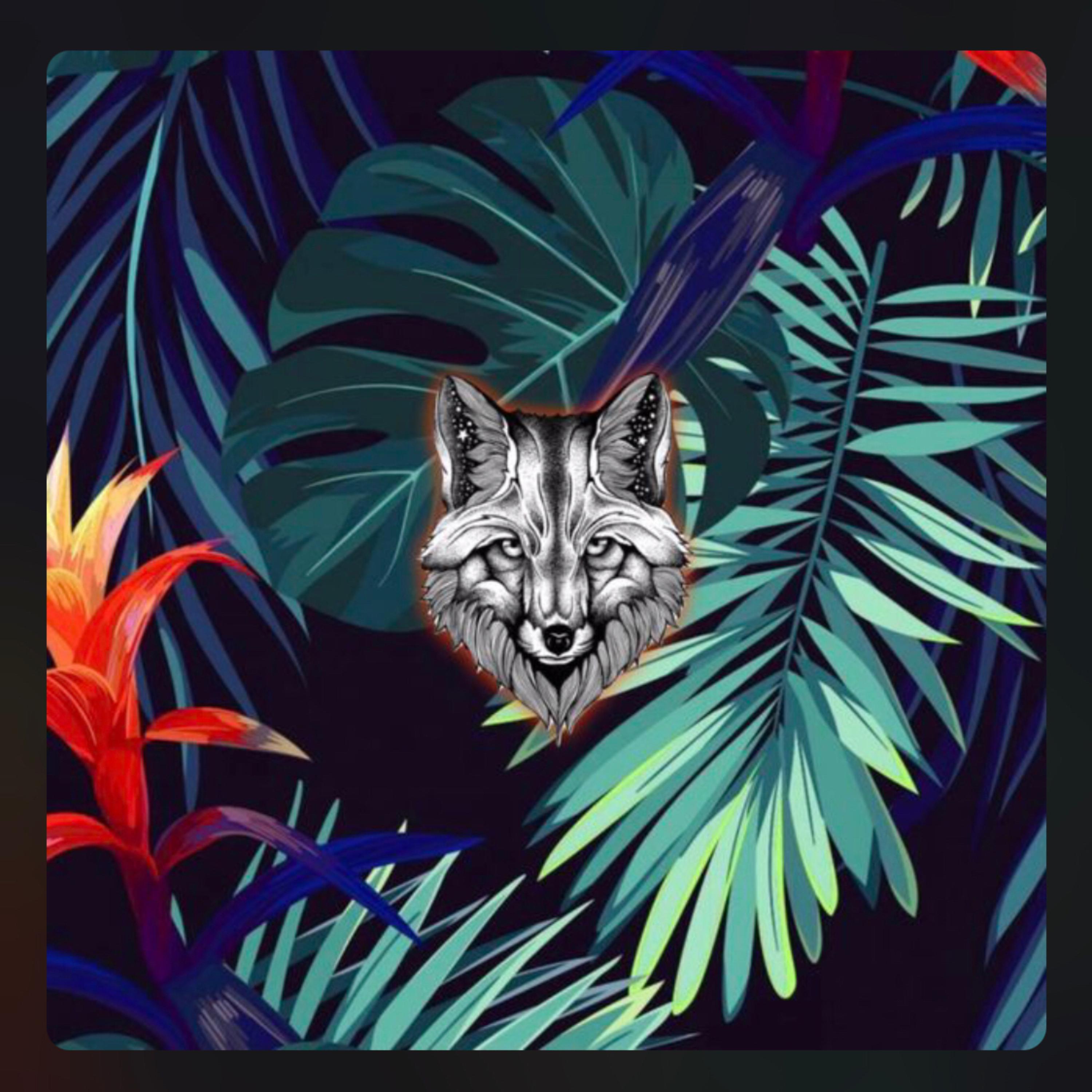 Edm Session artwork