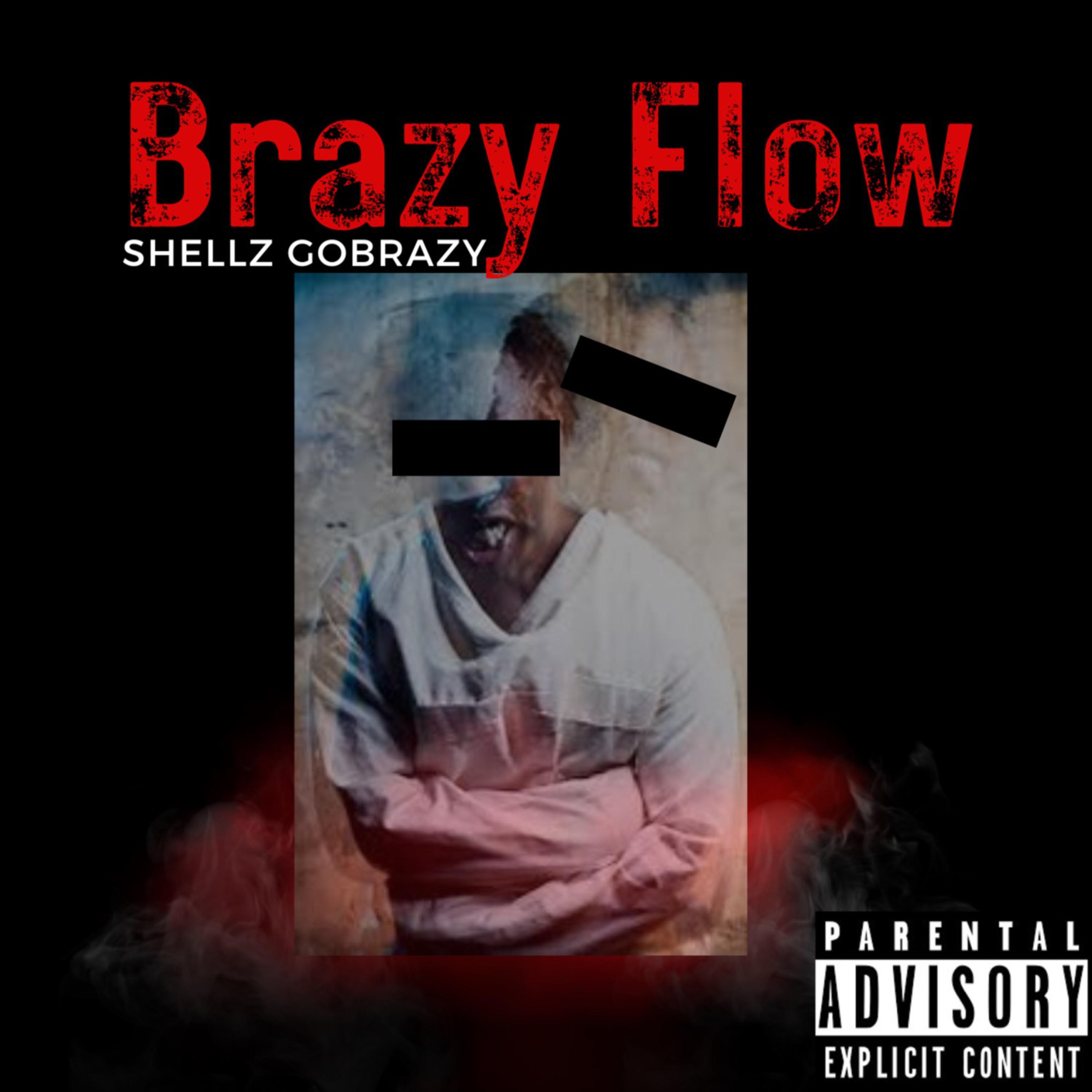 Brazy Flow artwork