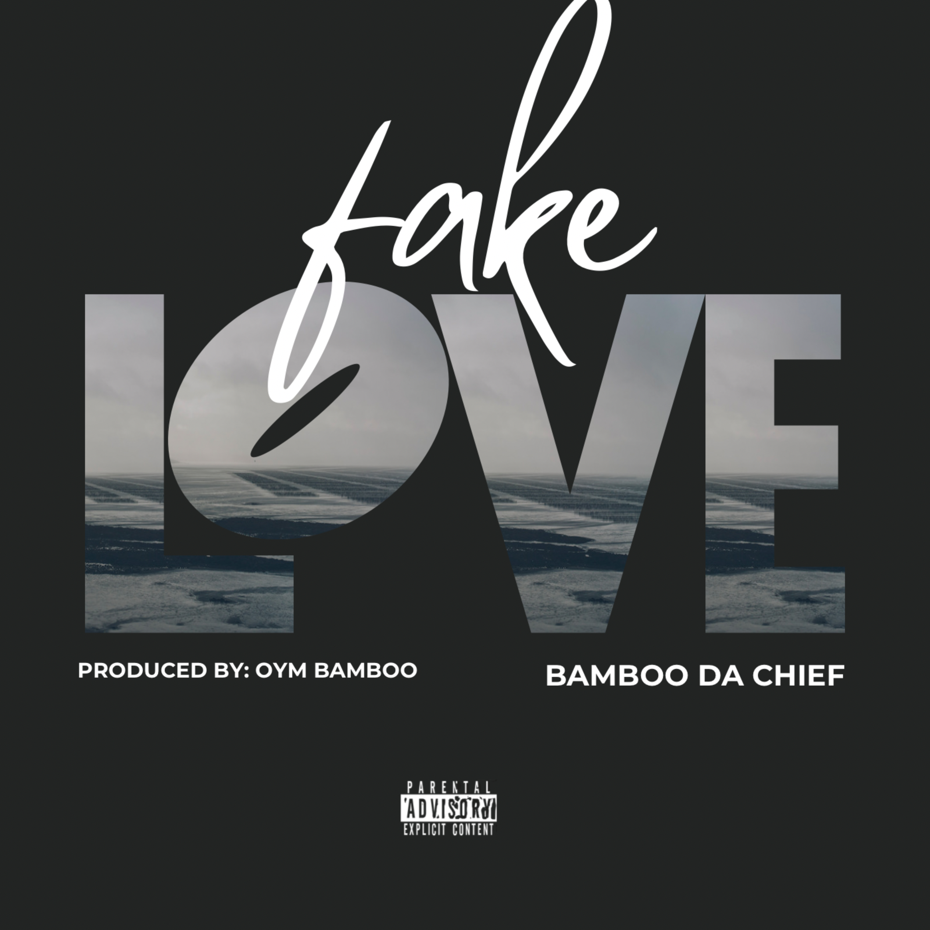 Fake Love artwork