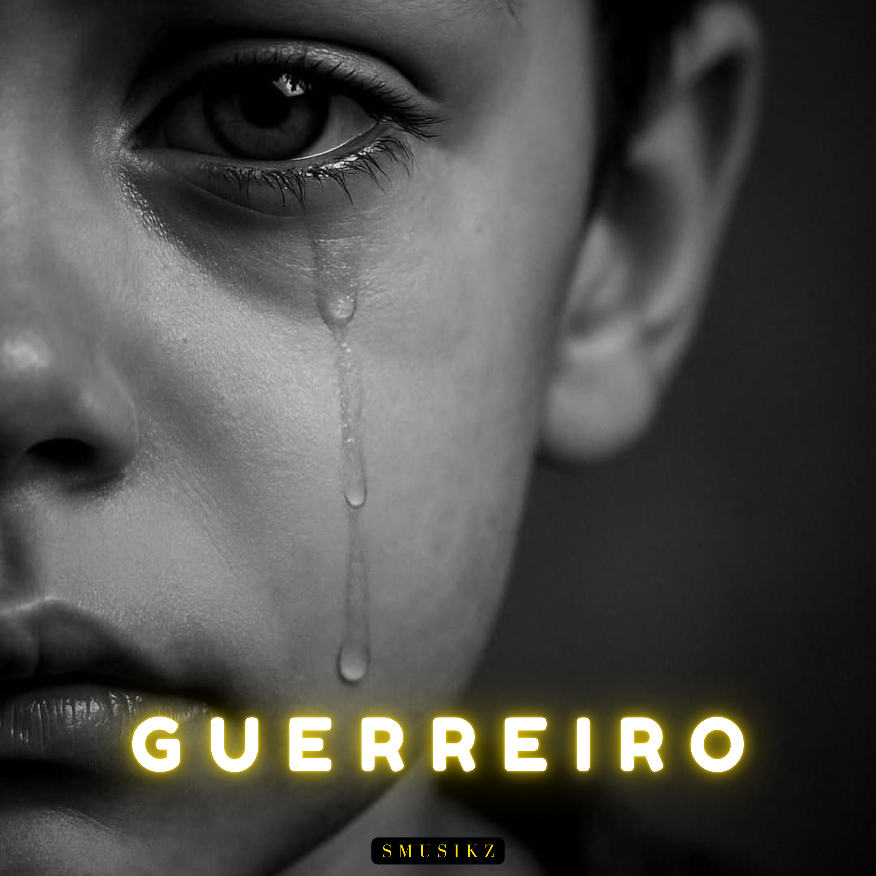 Guerreiro artwork