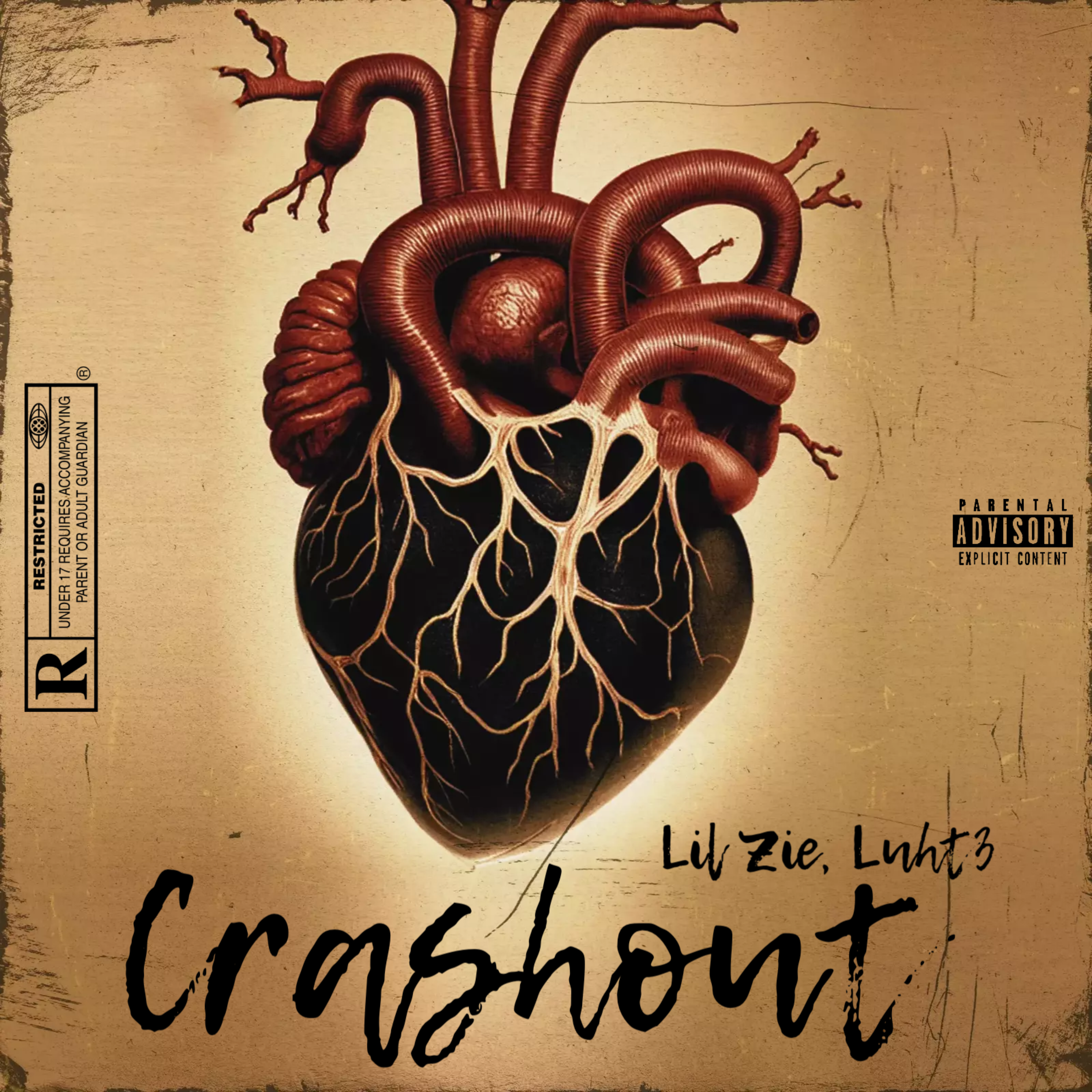 Crashout artwork