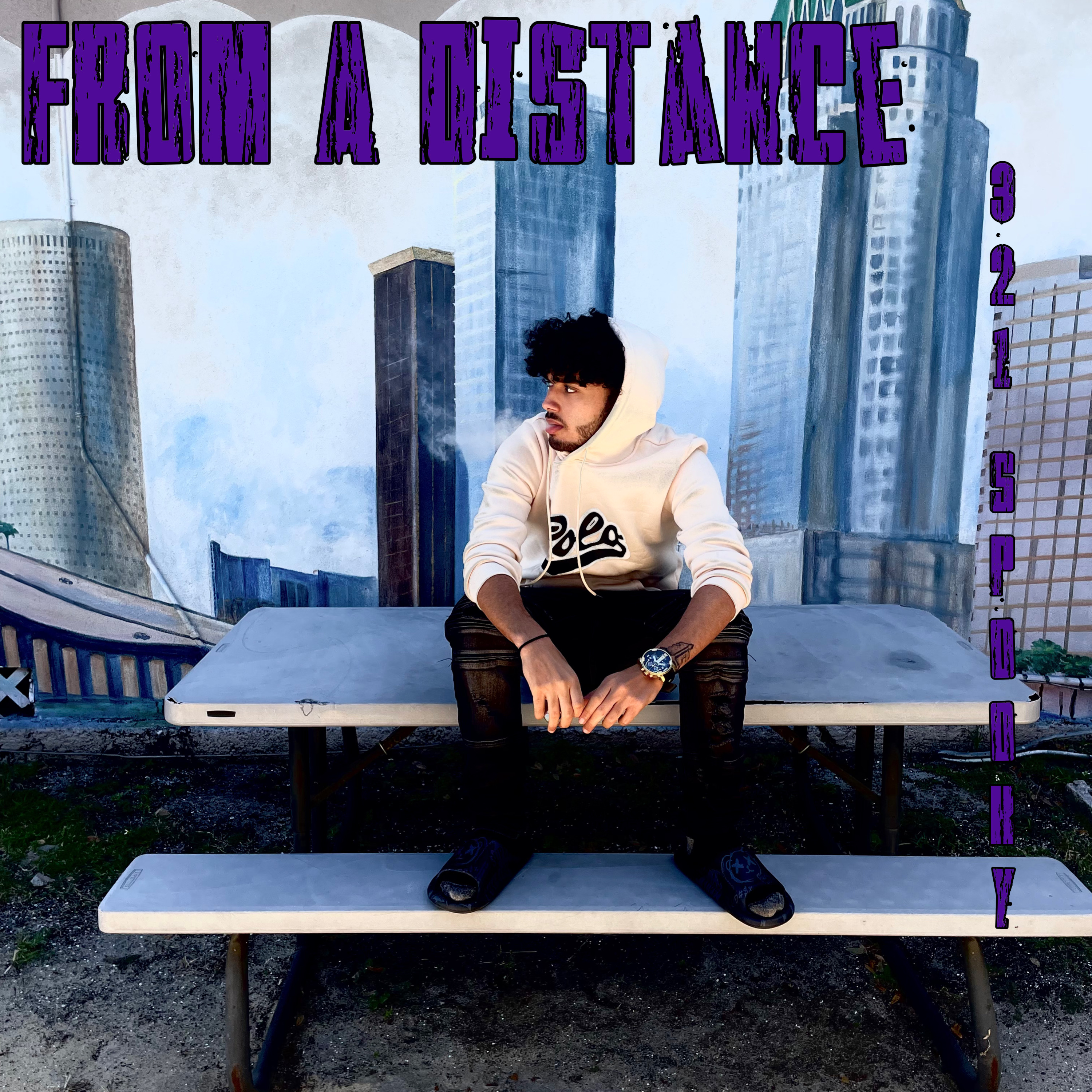 From a distance artwork