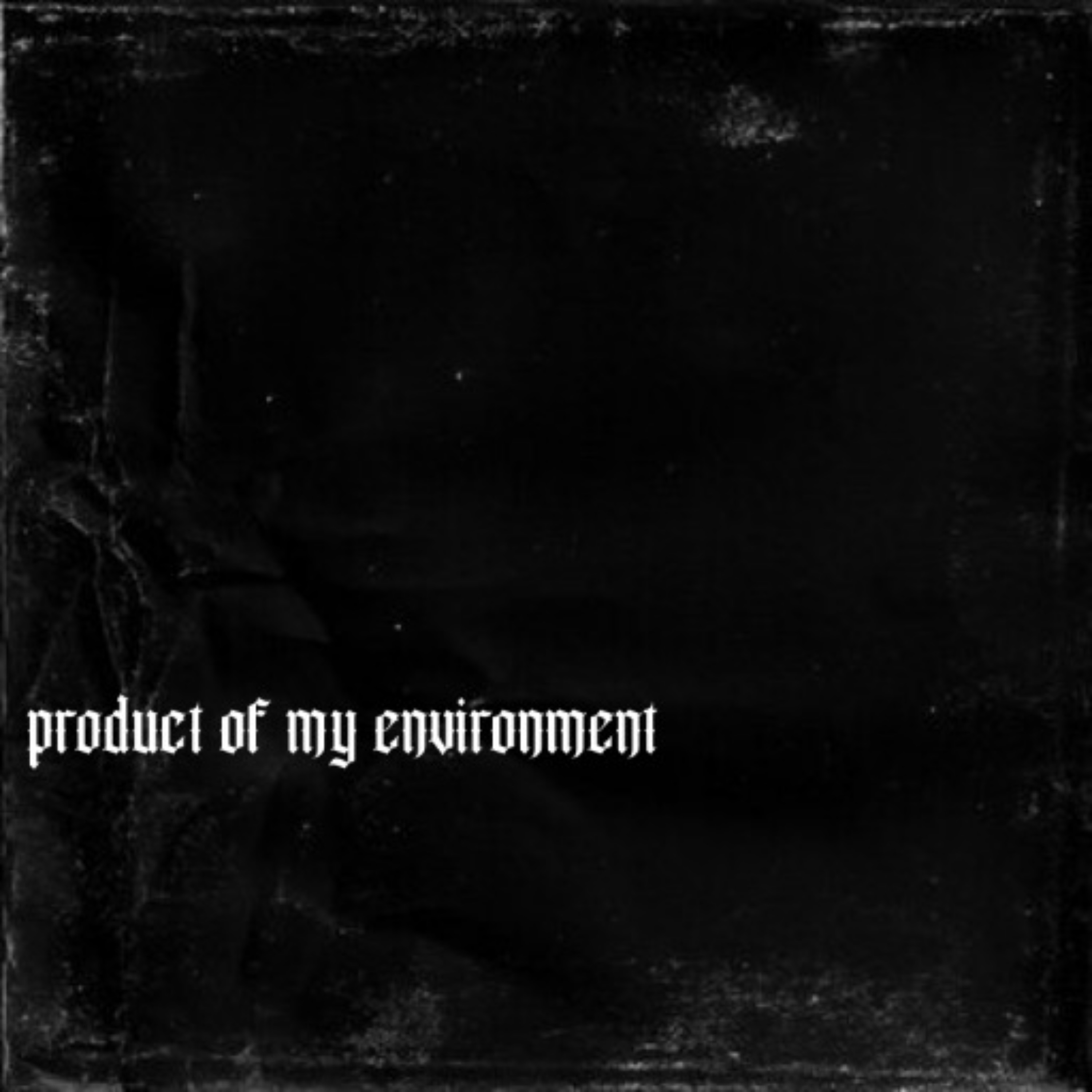 Product Of My Environment artwork