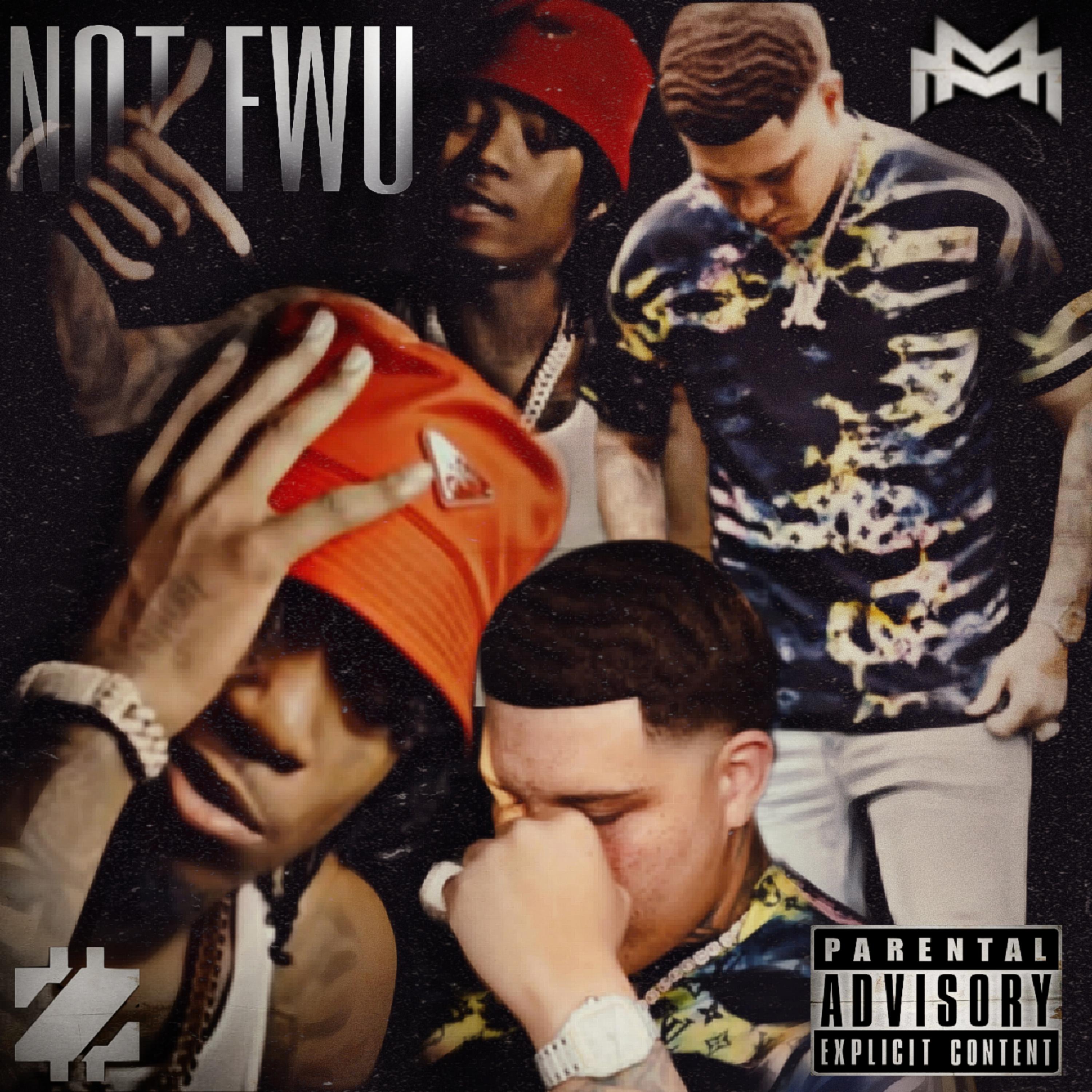 Not Fwu artwork