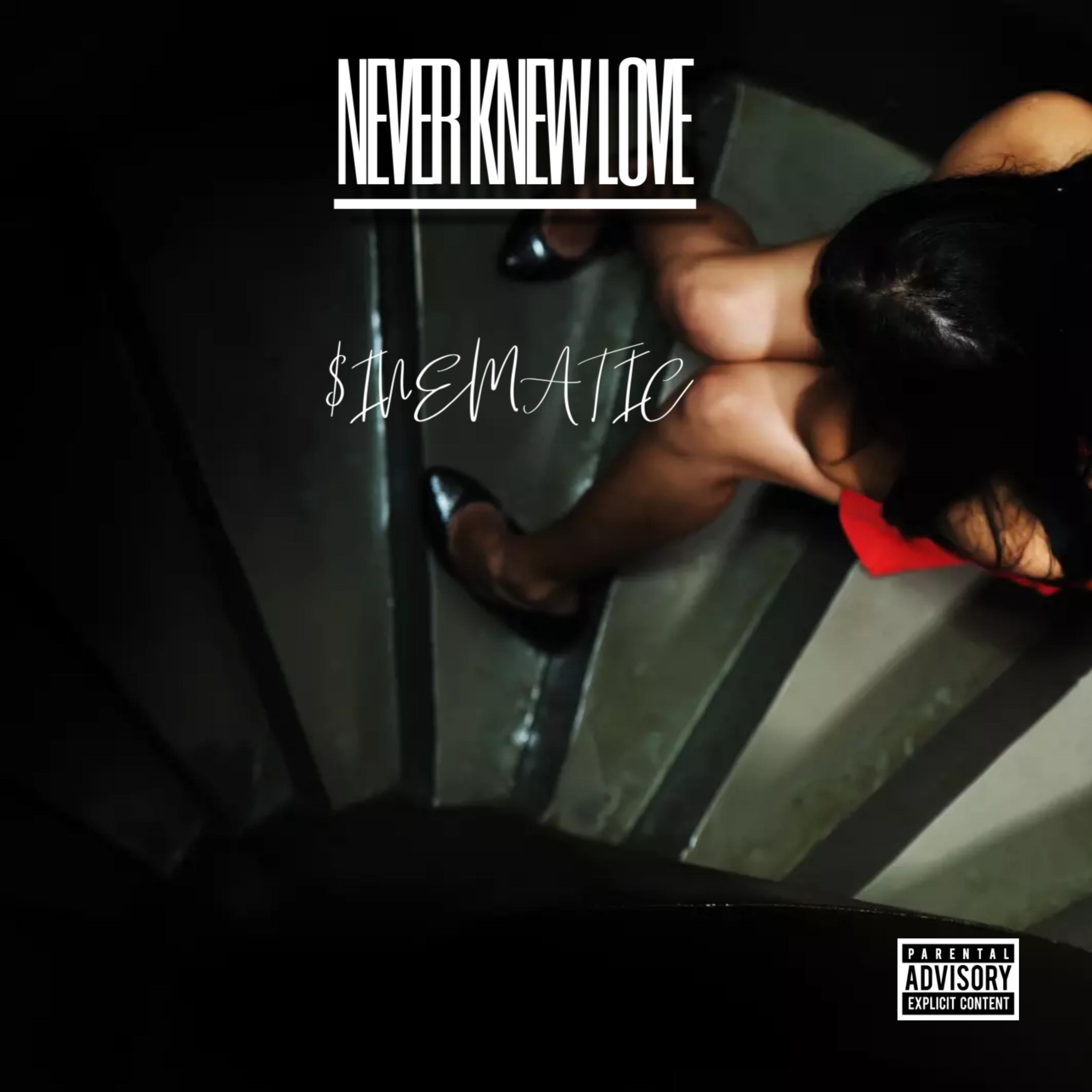 Never Knew Love artwork