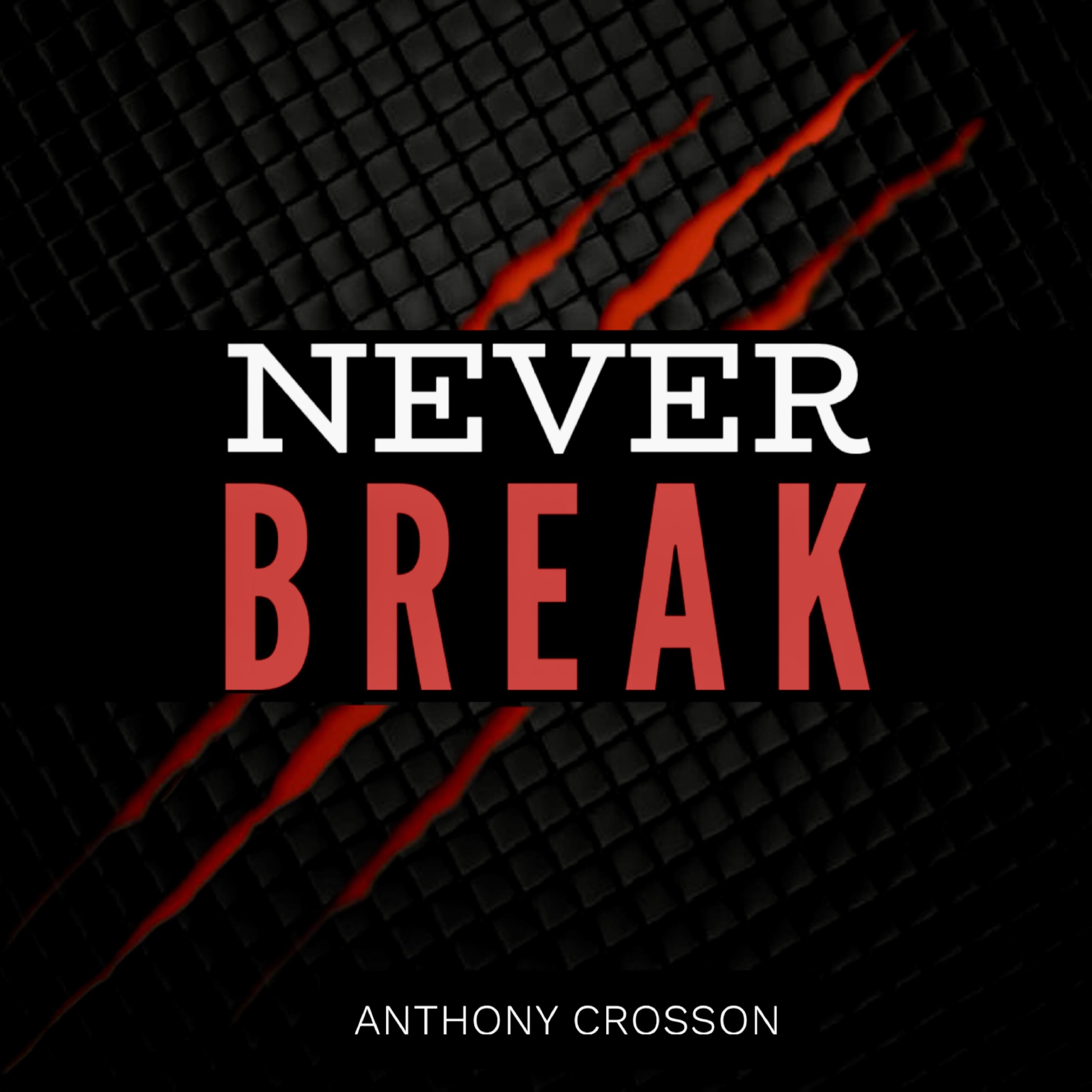 Never Break artwork