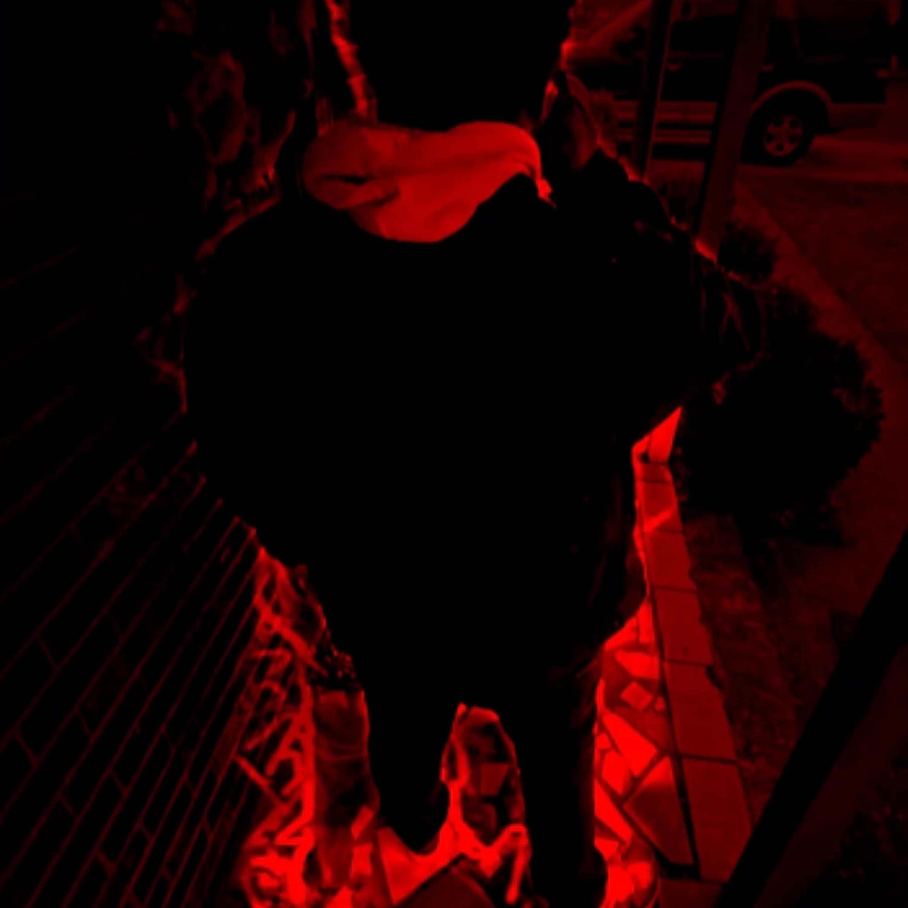 C.O.L.D. Sinner artwork