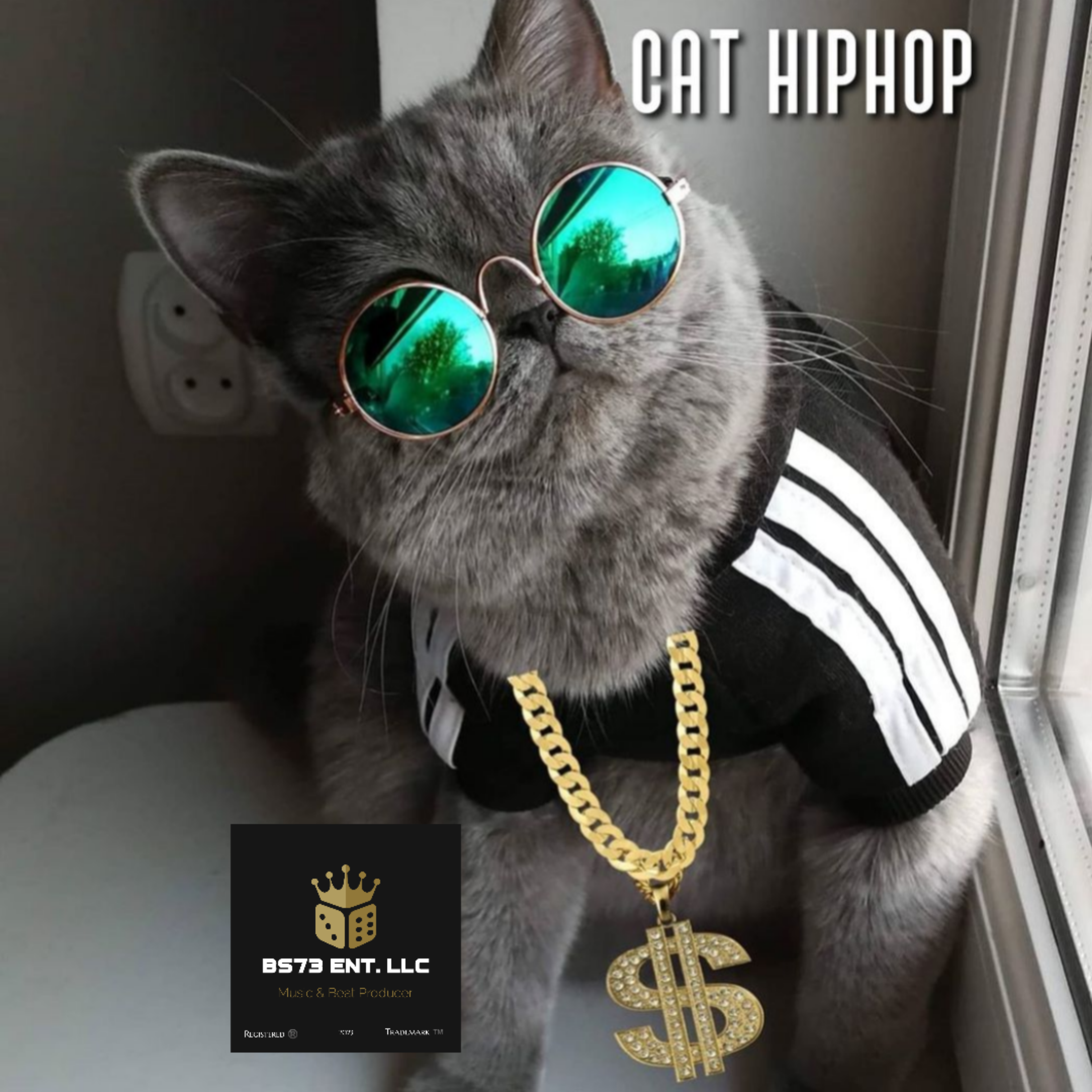 CAT HIPHOP artwork