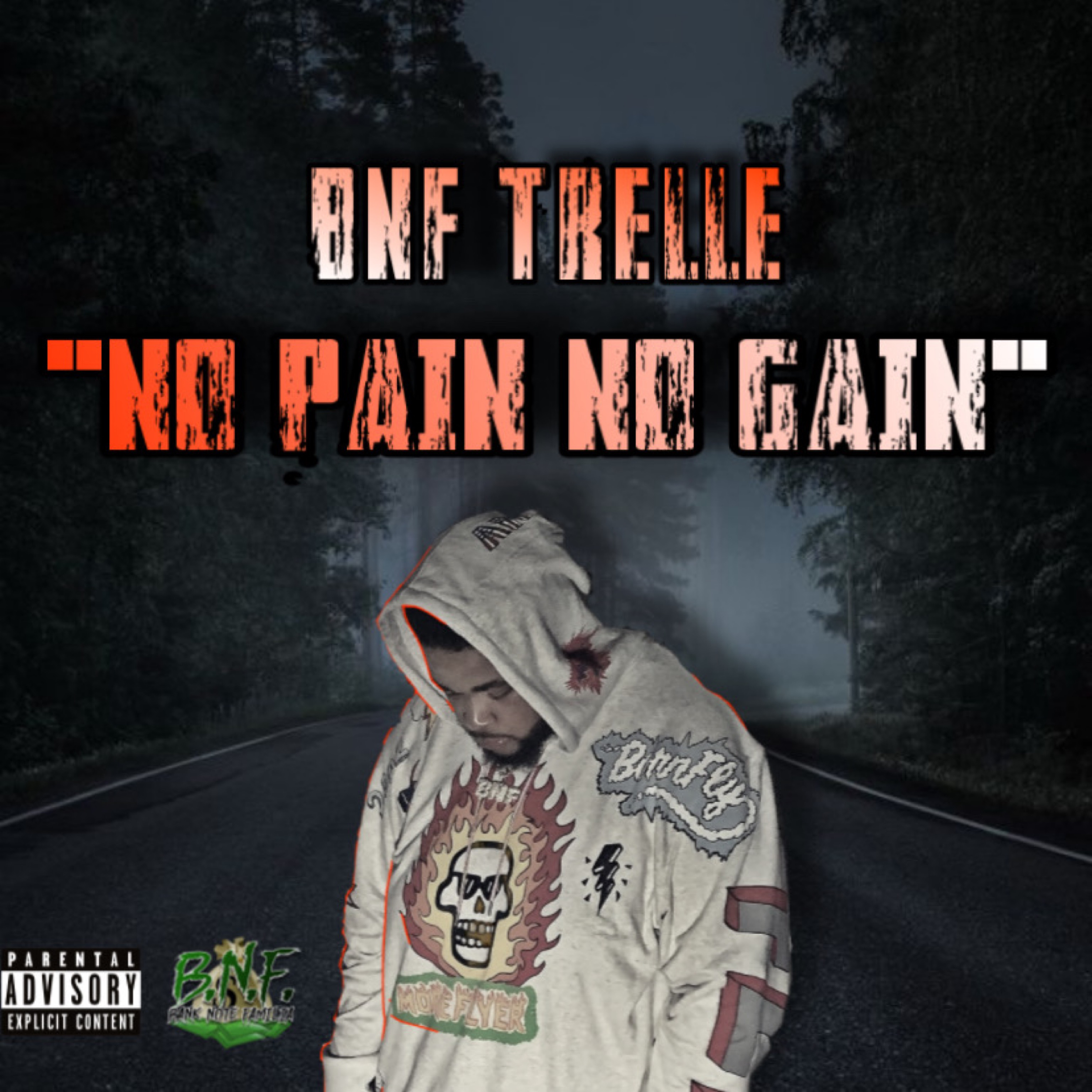 No Pain No Gain artwork