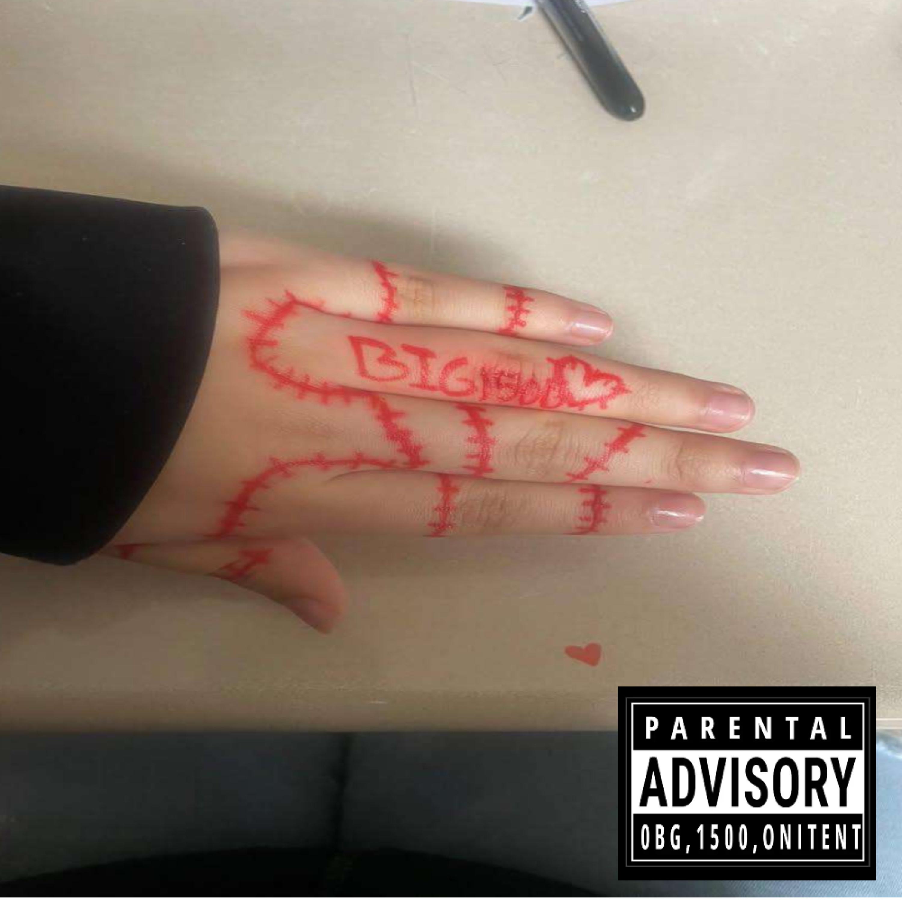 DISAPPOINTEDSHIT!!!!!/DBSB5 artwork