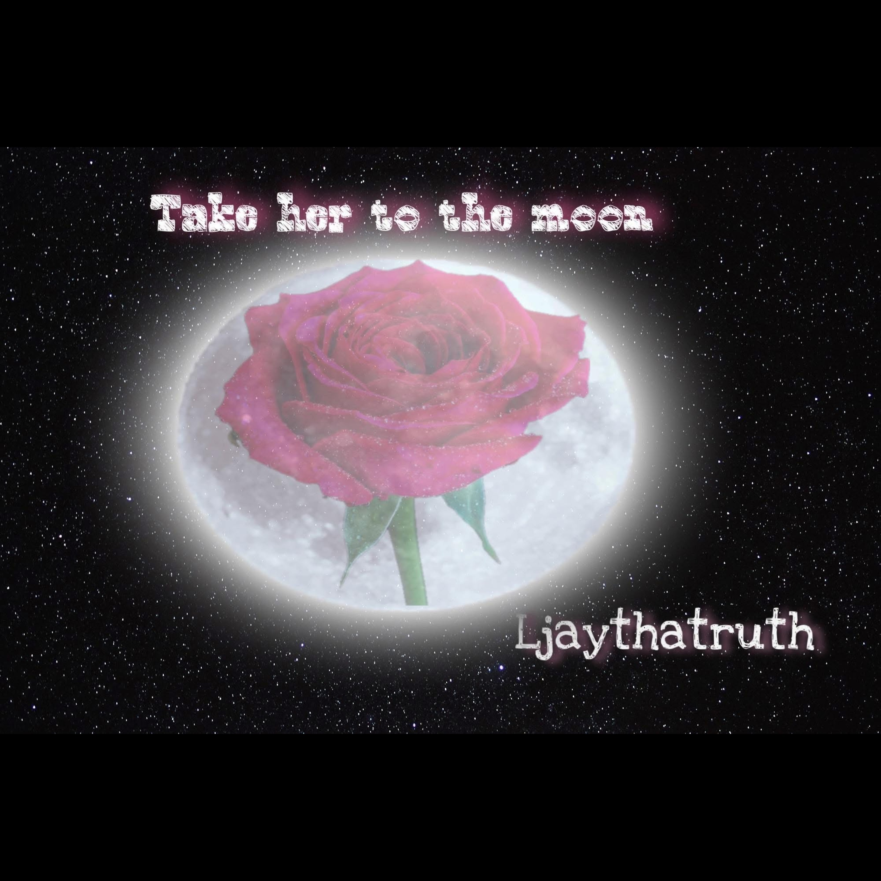 Take Her To The Moon artwork